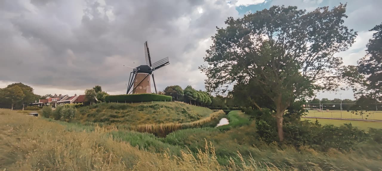 Mill and forest landscape in Dutch Zeeland