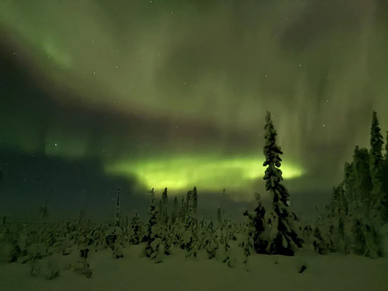 Noorderlicht verlicht een sterrenhemel boven een besneeuwd bos in Lapland.