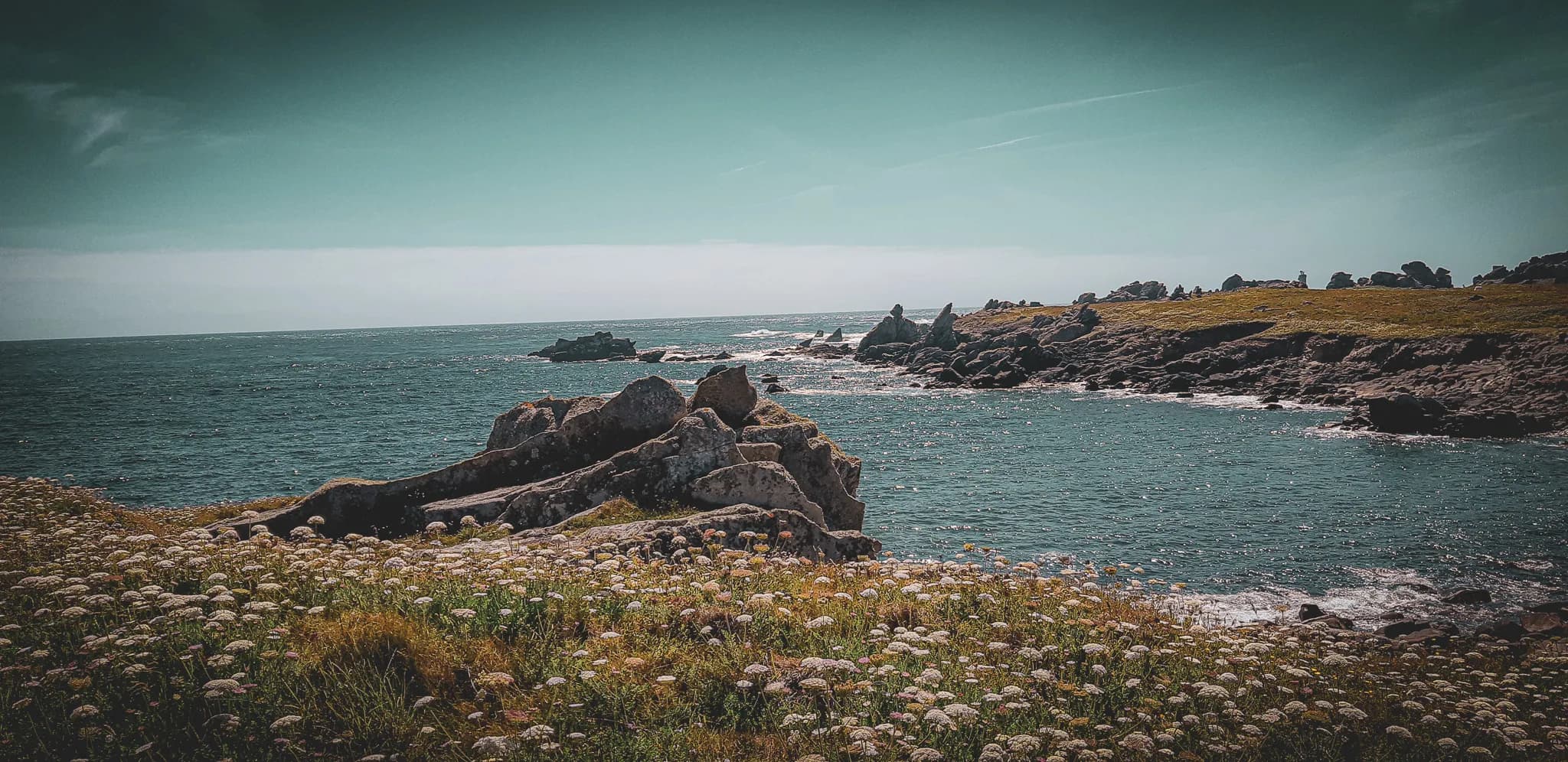 A coastal landscape, with rocks bordering a calm sea. Wild flowers colour the first part of the image, adding a touch of greenery and life. On the horizon, rock formations emerge