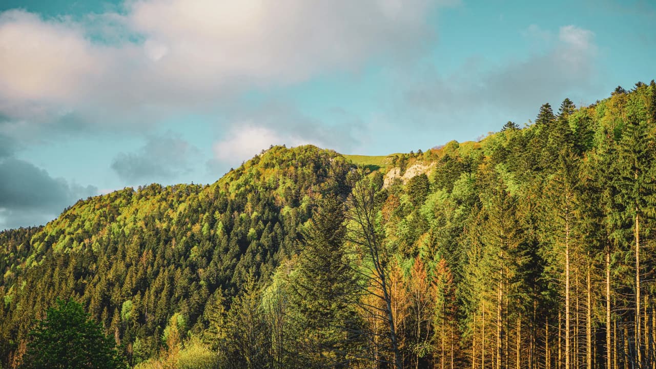 The green landscape of the Massif du Jura, with wooded hills under a cloudy blue sky. Perfect for adventure!