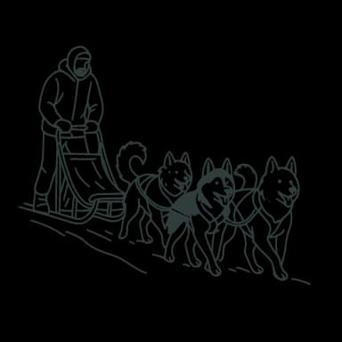 Dog Sledding