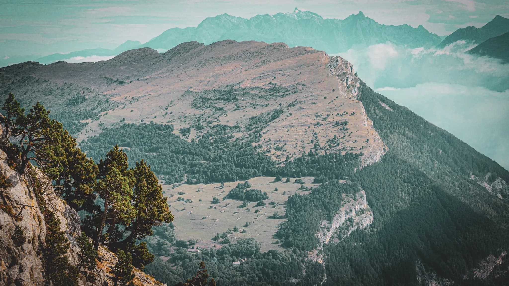 A spectacular mountain landscape with rolling hills covered in vegetation, mainly conifers. In the background, mountain peaks rise up, some covered in snow. The light