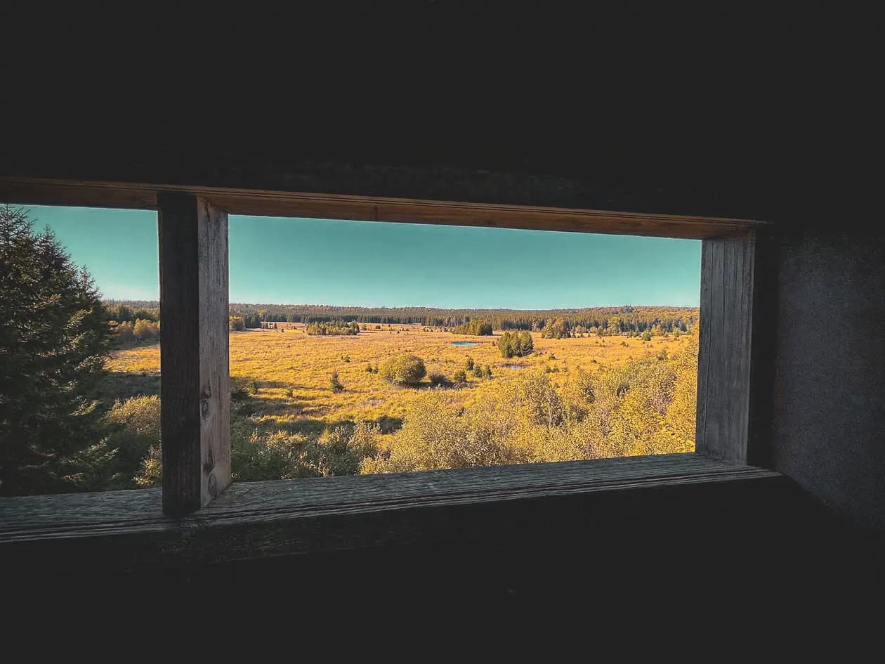 An open landscape seen through a window, probably from a hut or observation platform. Outside, we see vast golden fields dotted with small wooded areas. The sky is clear.