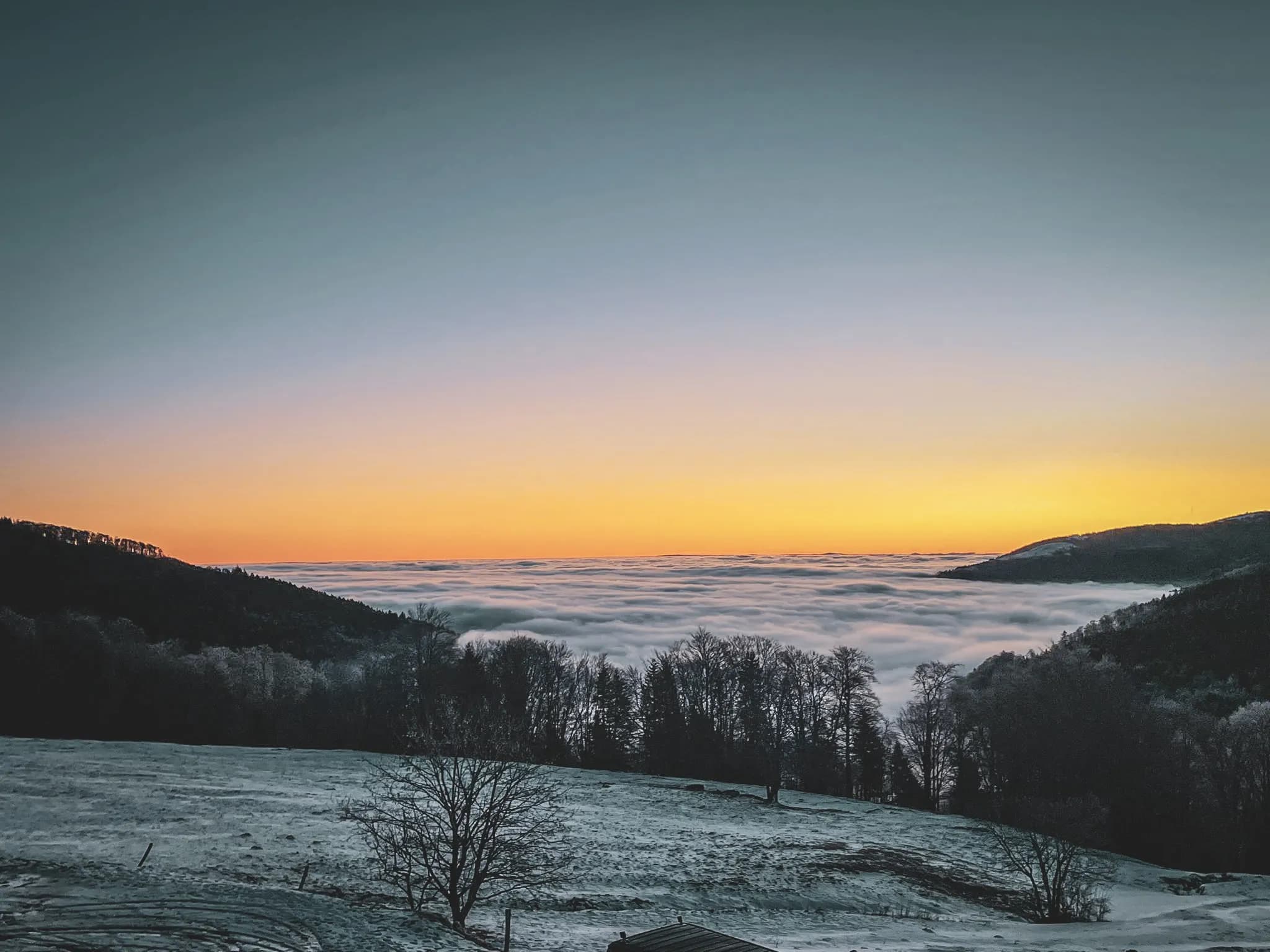 Lever de soleil sur une mer de nuages dans les Vosges, un paysage apaisant et enchanteur.