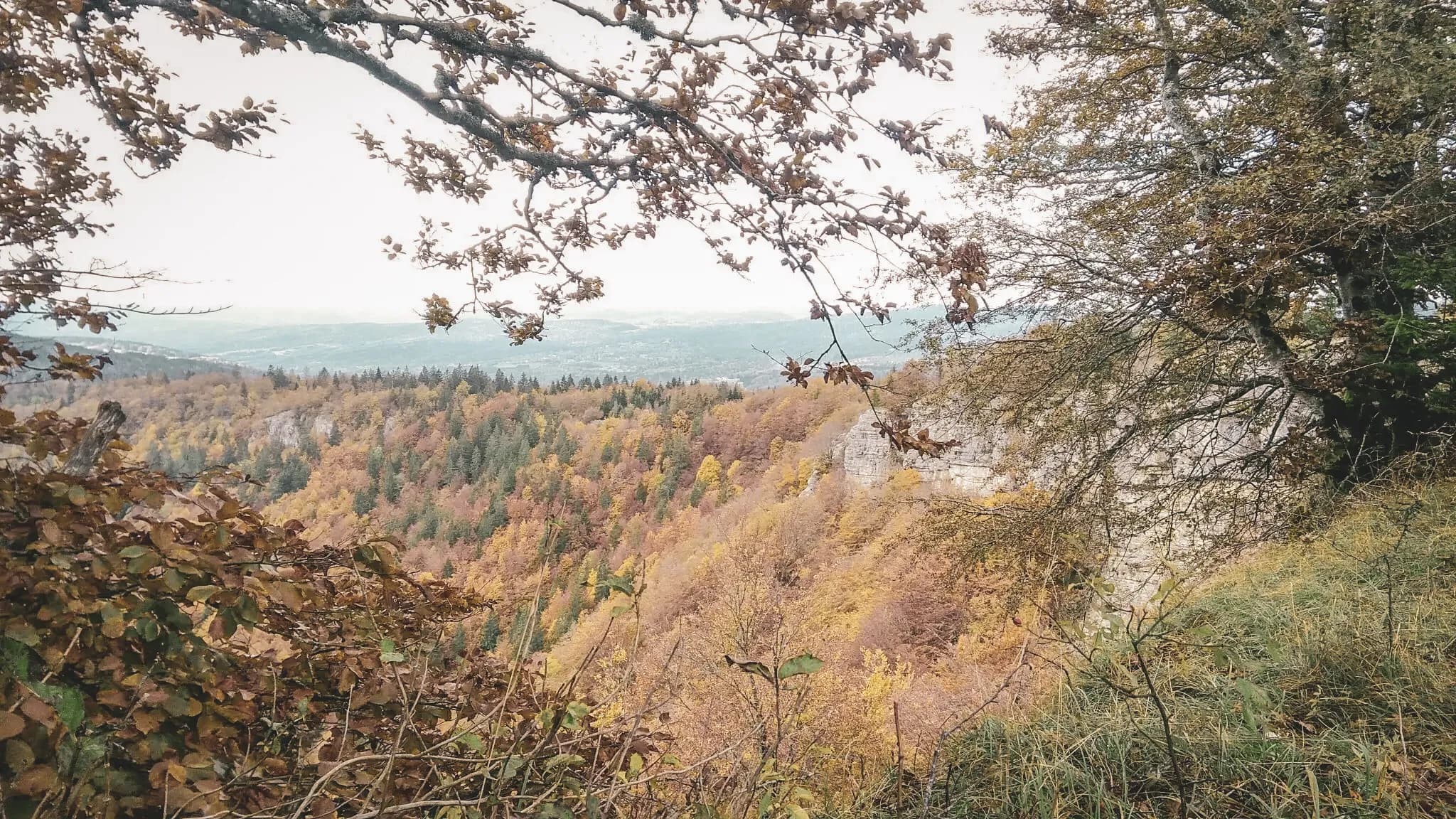 Vue panoramique automnale sur les crêtes du Haut-Jura, révélant des forêts colorées.