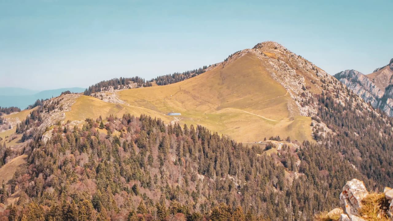 Crispantes crêtes verdoyantes dominent la vallée, offrant un panorama époustouflant sur la Chartreuse.