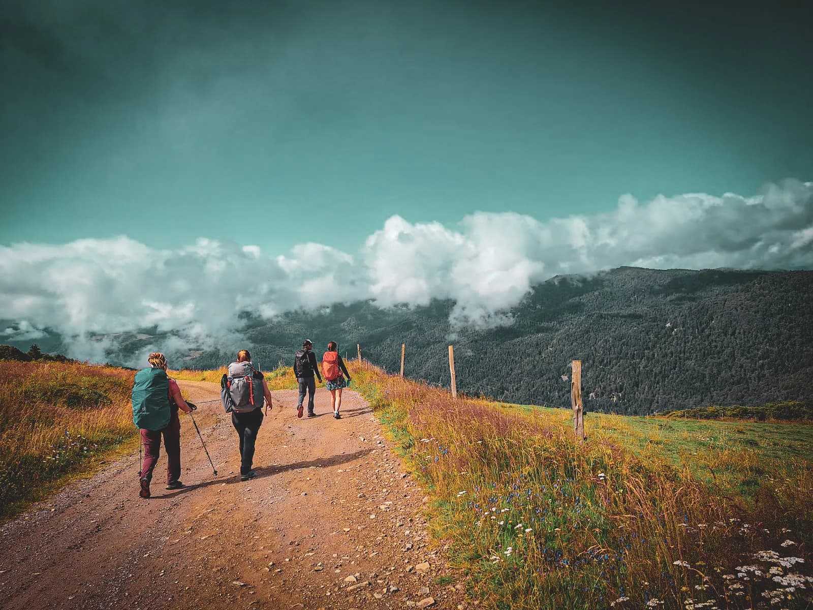 Un groupe de quatre randonneurs marche le long d'un chemin de terre, entouré de prairies verdoyantes. Les membres du groupe portent des sacs à dos et des vêtements de randonnée, certains utilisant des bâtons de marche.