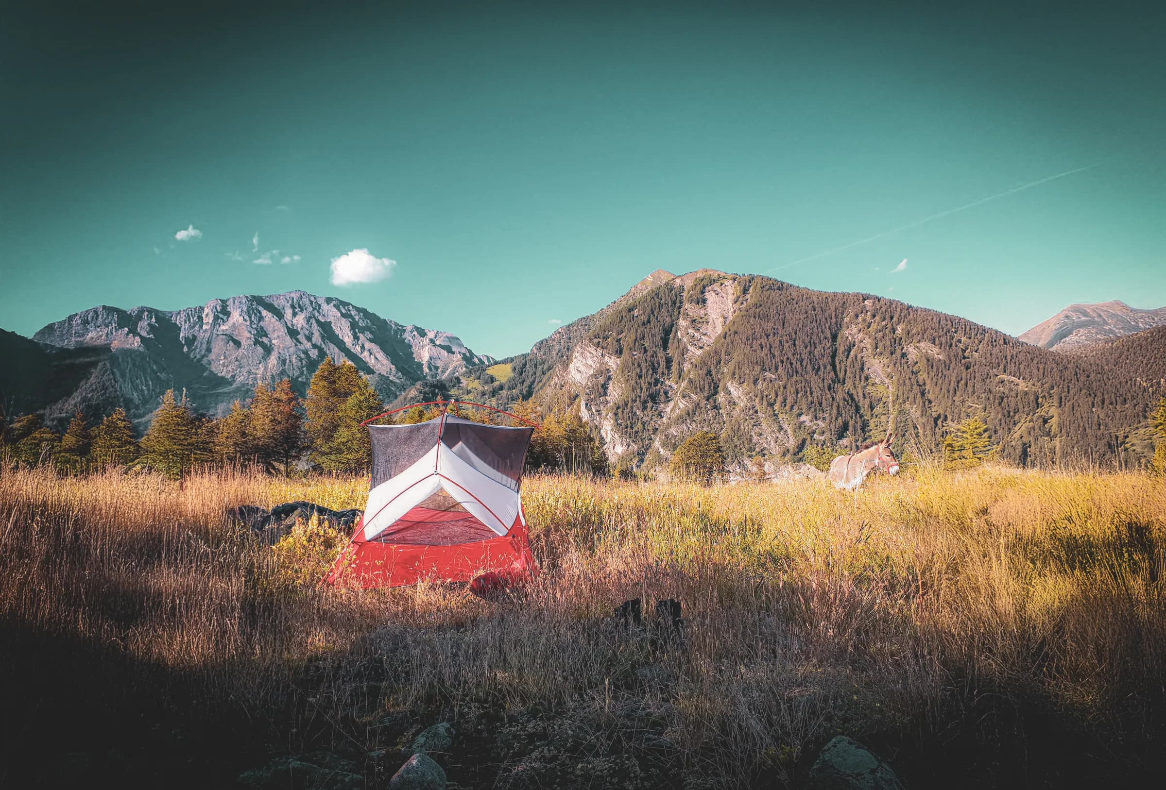 A mountain landscape with a colourful tent in the foreground. The tent, mainly red and white, is surrounded by tall golden grass. In the background, majestic mountains display rocky peaks and