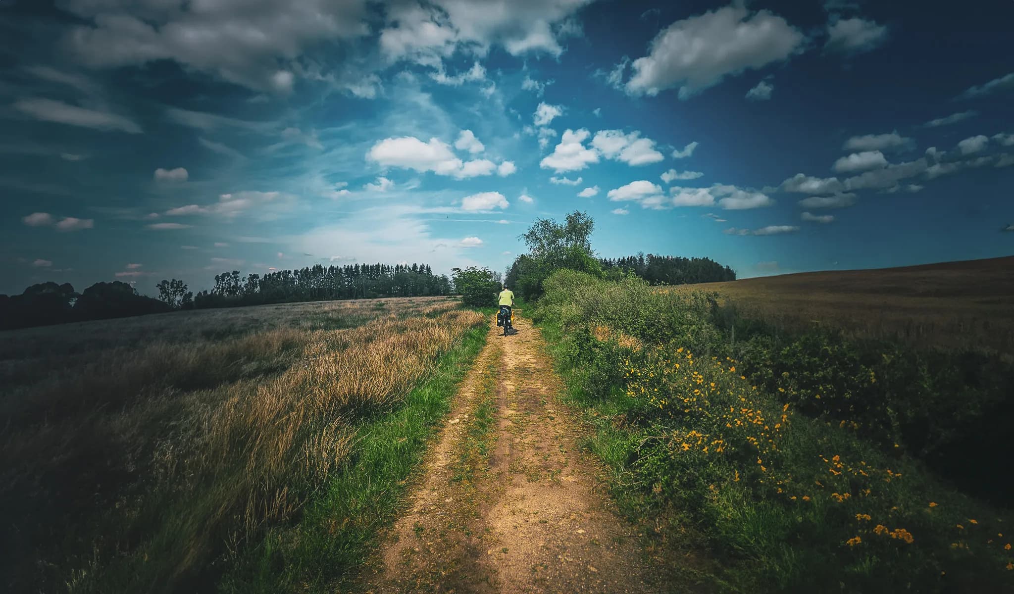 A dirt road winds through a rural landscape, framed by fields of golden wheat and greenery. In the background, a row of trees rises up under a vast sky dotted with