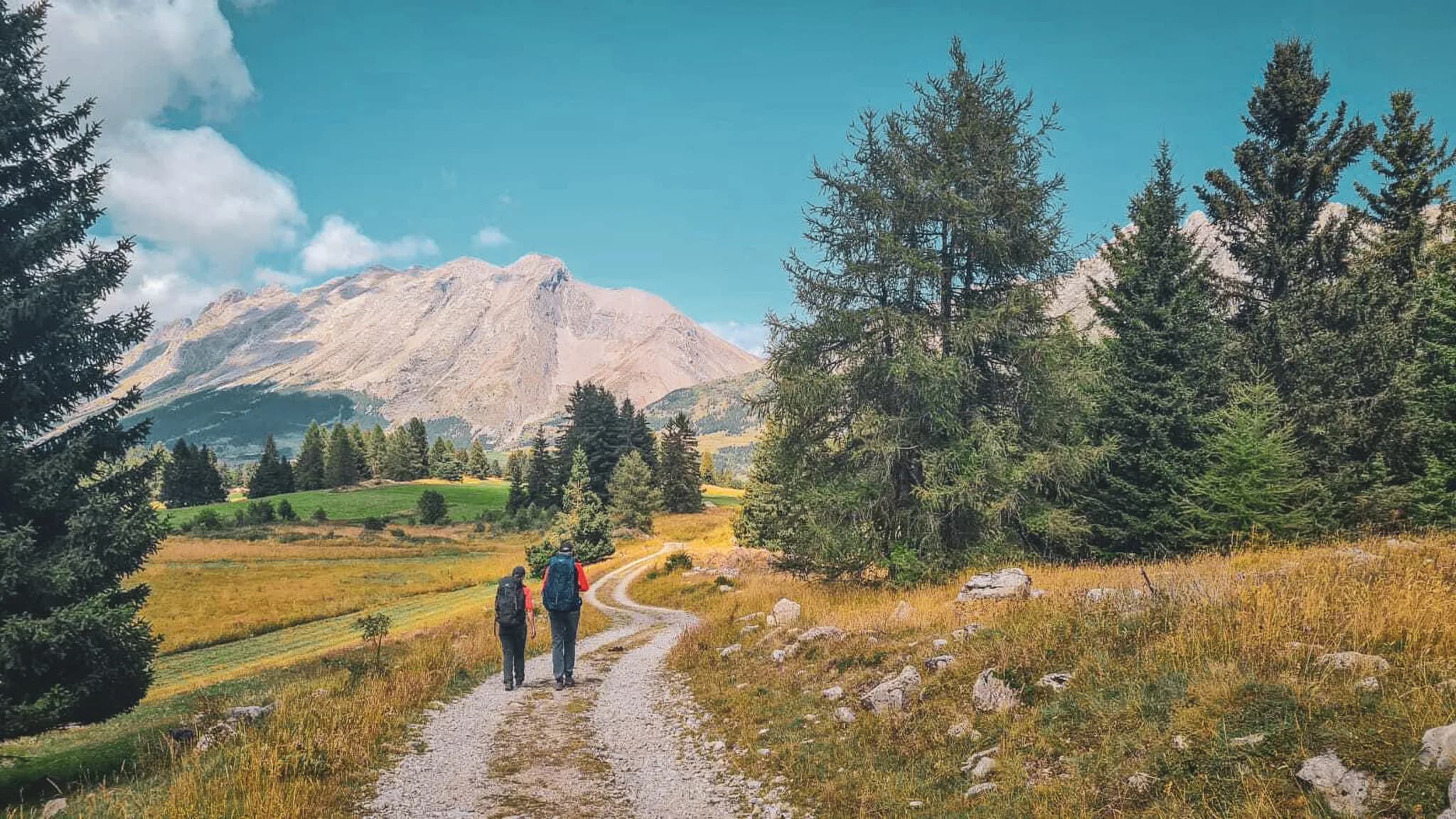 A peaceful walk along a winding path, surrounded by spectacular Alpine scenery.