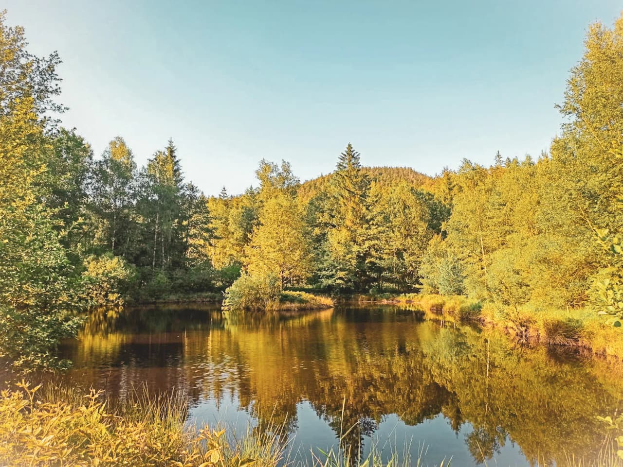 Een vredig meer omringd door gouden bomen onder een heldere hemel, die je uitnodigt om te ontspannen in het hart van de natuur.