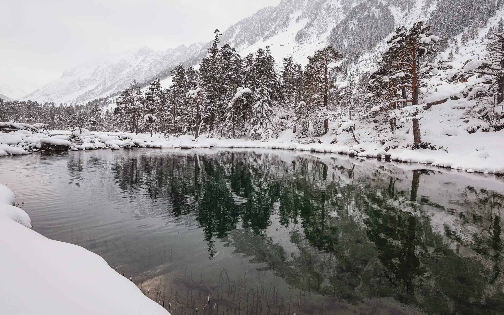 A peaceful lake surrounded by snow-covered forests in the Pyrenees, an invitation to a magical hike.