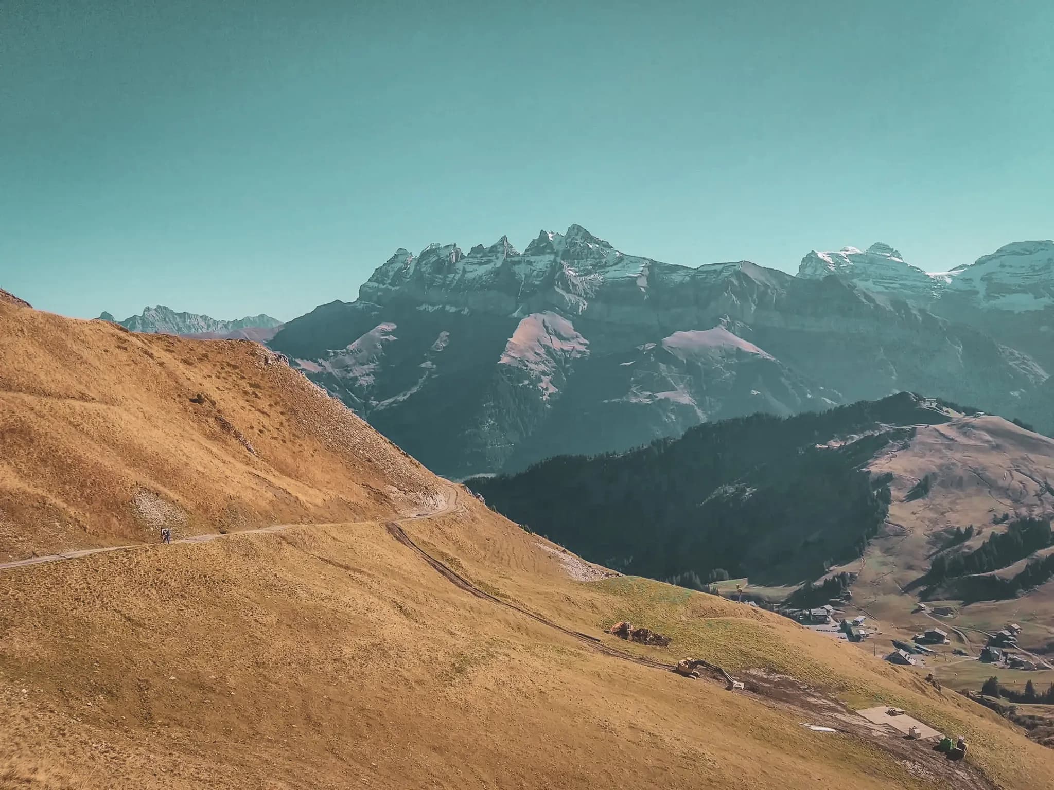 An Alpine landscape with majestic mountains in the background and a lush green valley below. A winding road crosses the slope, lined with tall grass and a few rocks. The mountain peaks are part of the landscape.