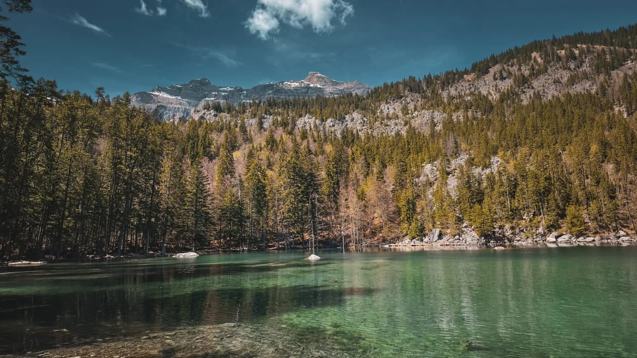 Een vredig meer omringd door groene bossen en majestueuze bergen, een uitnodiging om te reizen.