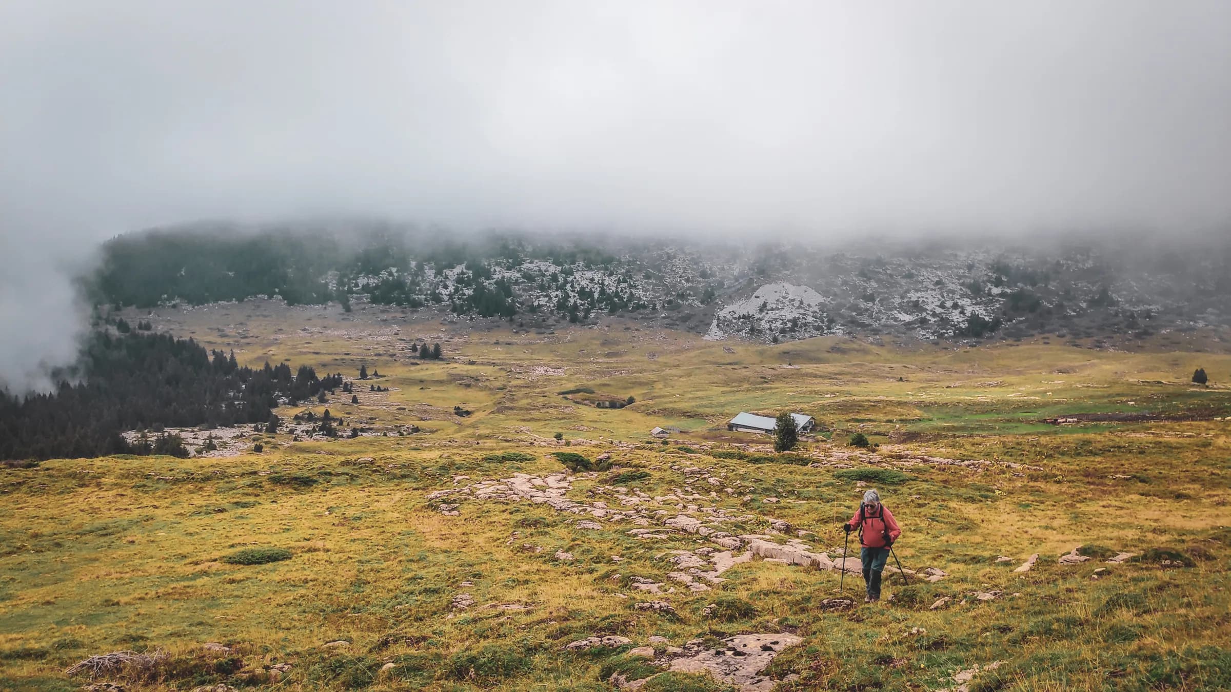 Un randonneur solitaire explore un vaste paysage verdoyant, sous un ciel brumeux et mystérieux.