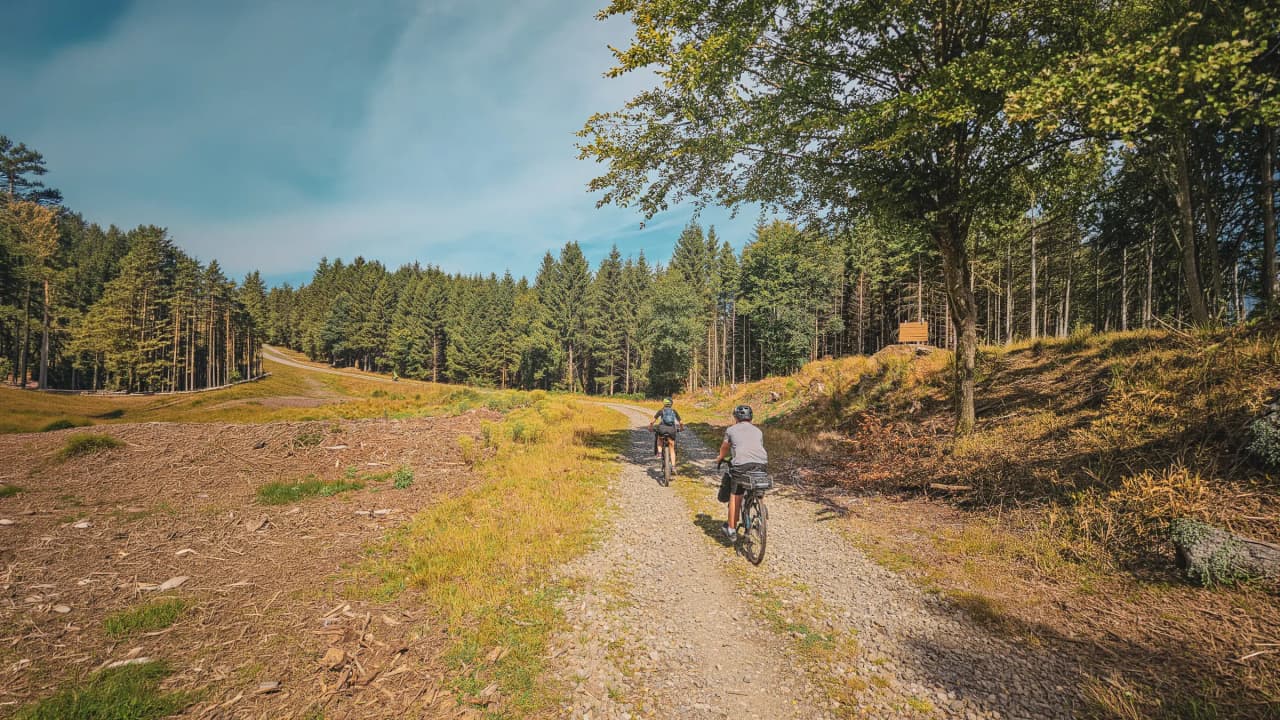 Cycling through the Ardennes forests, under blue skies, peaceful nature and adventure.