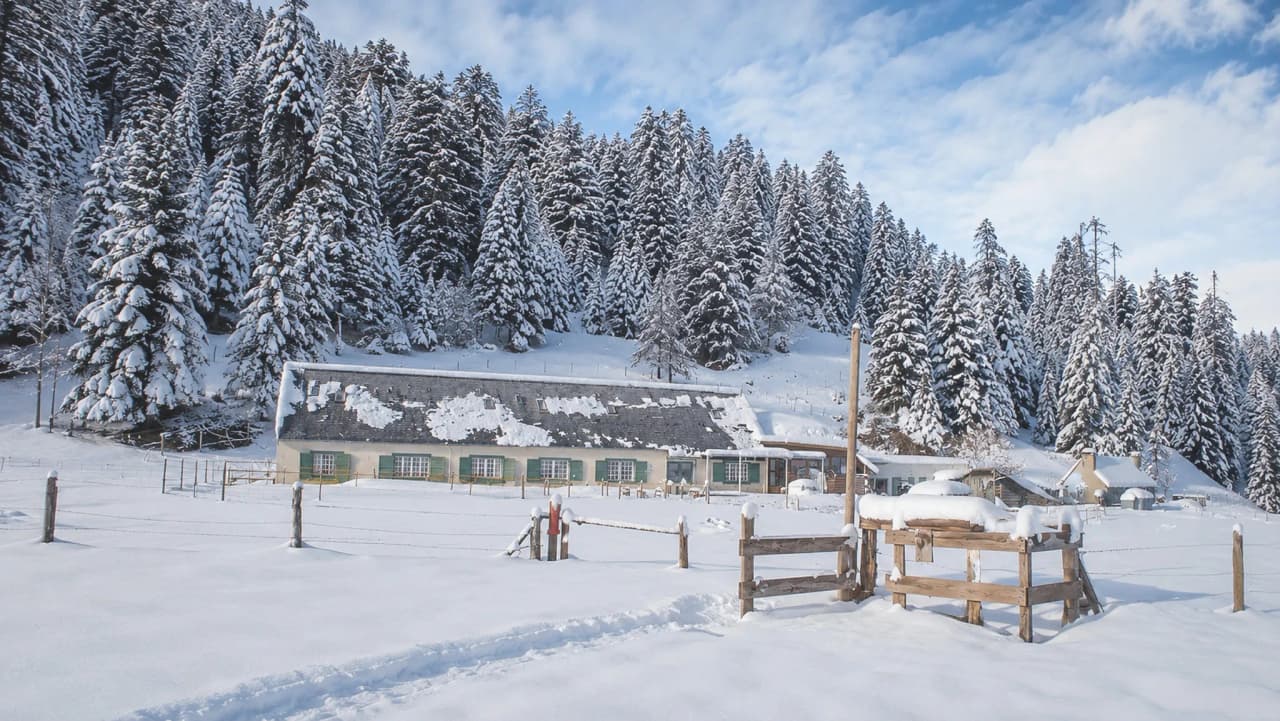 A cosy Mountain hut surrounded by snowy forests, ideal for a snowshoeing adventure in the Pyrenees.