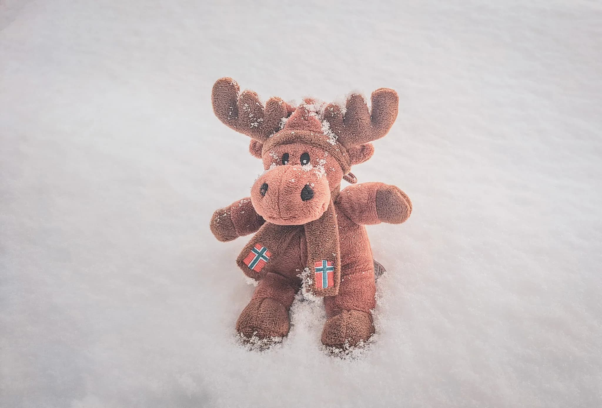 Plush moose in a snowy landscape, evoking adventure in Norway.