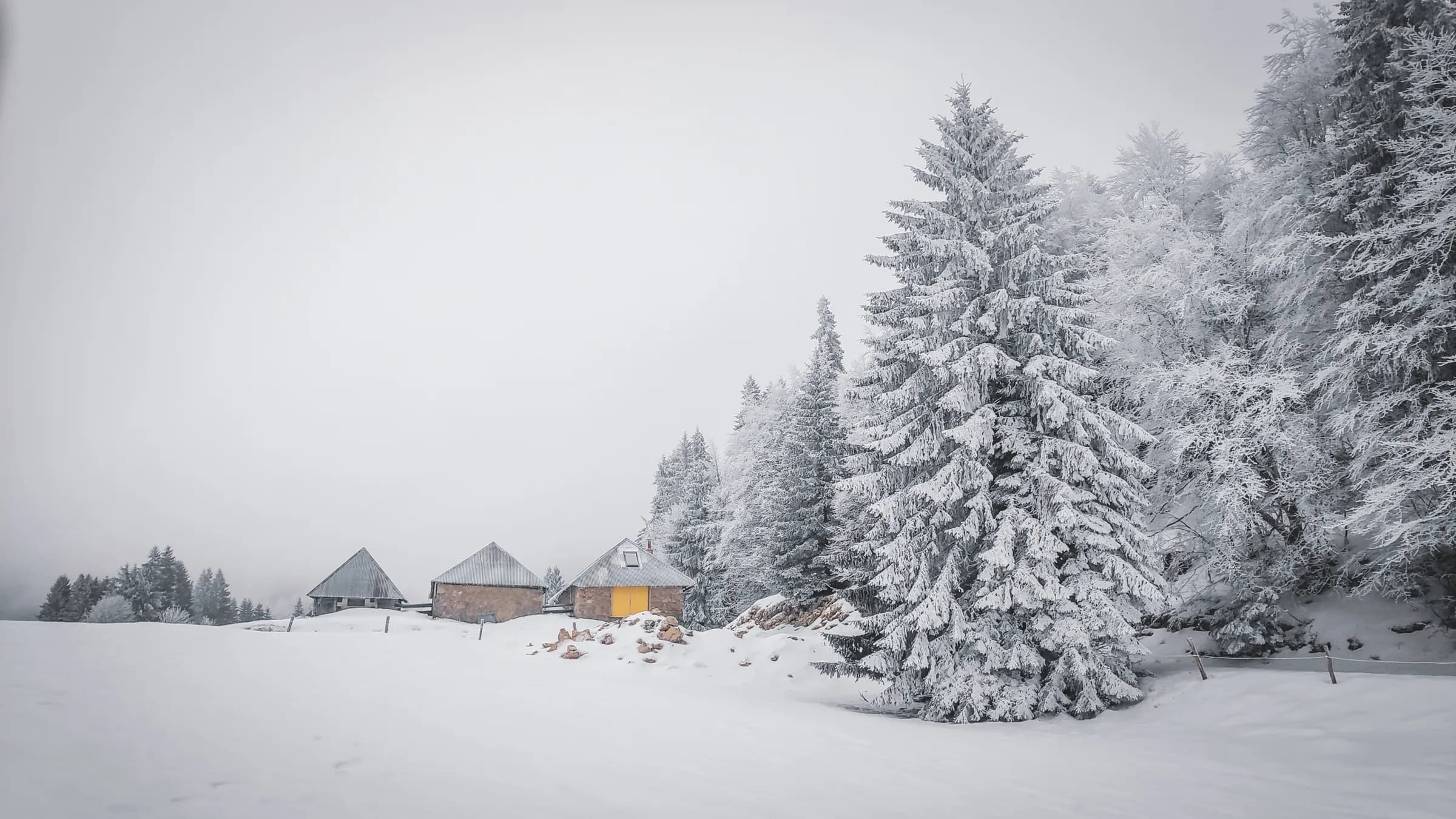 Paysage hivernal enchanteur dans les Bauges, avec des chalets sous une neige immaculée et des arbres majestueux.
