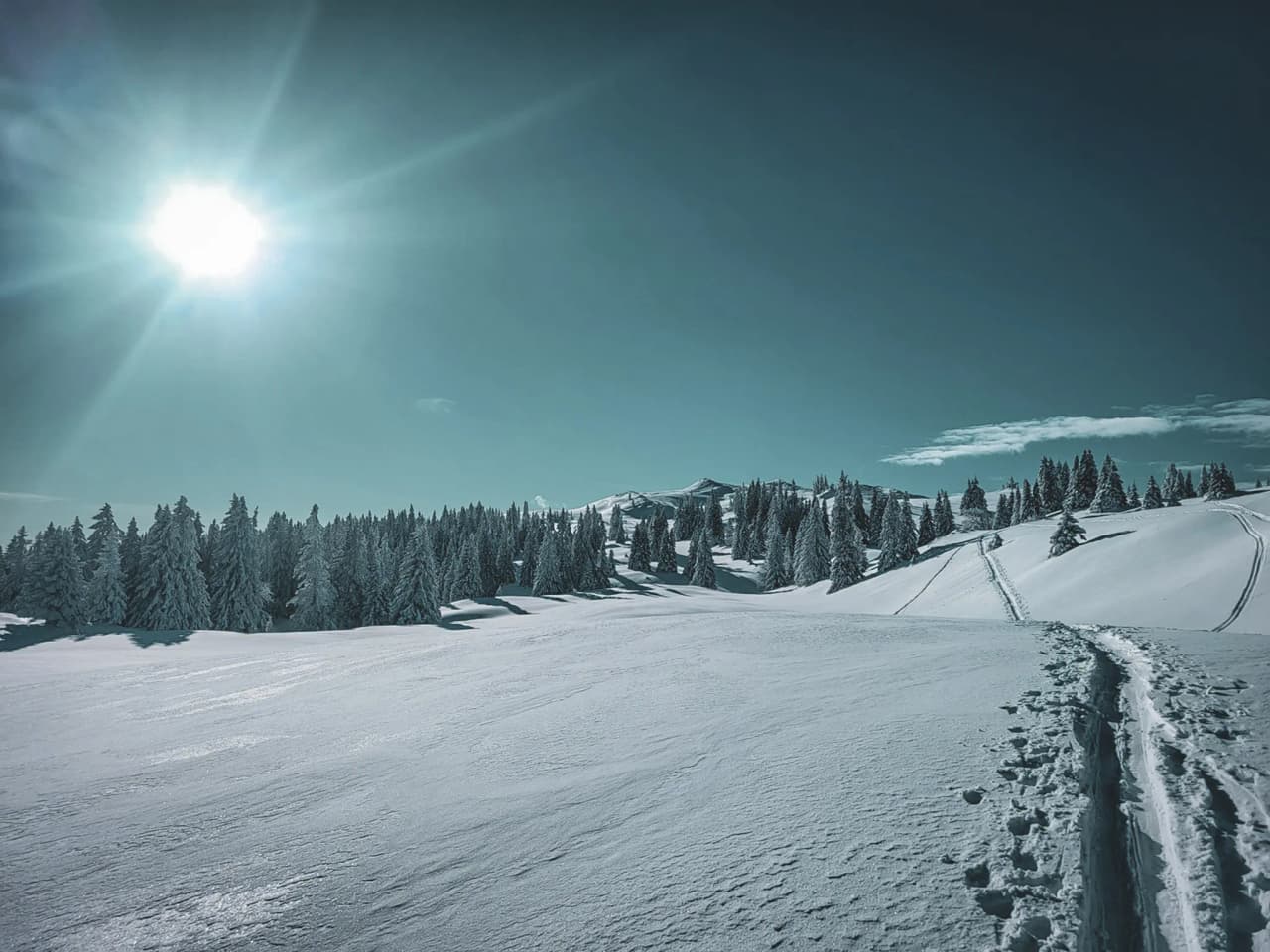 Un paysage hivernal majestueux avec des forêts enneigées sous un ciel bleu éclatant.