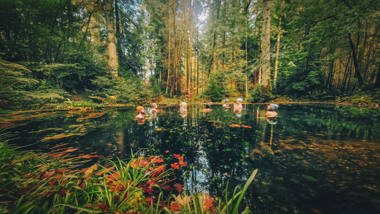 Participants relax in a Nordic bath, surrounded by lush, peaceful forests.