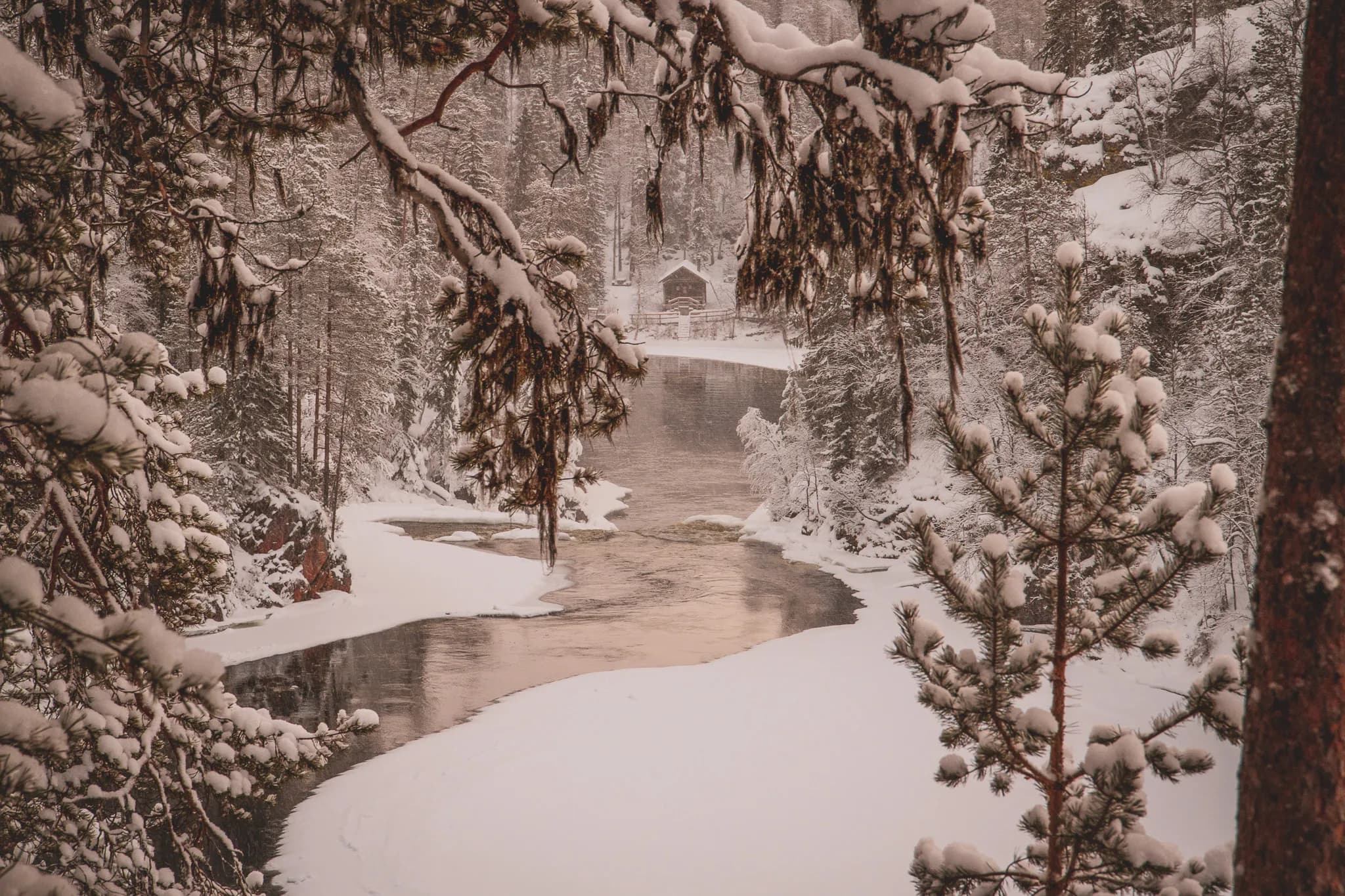 A peaceful winter landscape with a winding river surrounded by snow. Majestic trees, laden with snow, frame the scene, providing a serene and secluded atmosphere. In the distance, a small wooden cabin