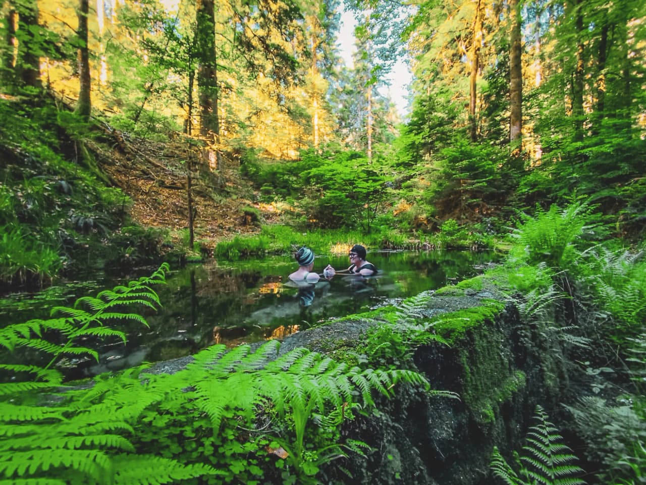 Twee mensen ontspannen in helder water omgeven door weelderig groen midden in een bos.