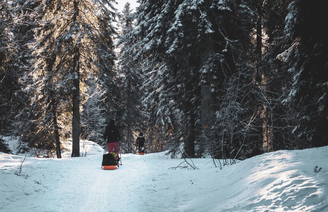 Randonnée en raquettes dans une forêt enneigée du Jura, ambiance sauvage et nature apaisante.
