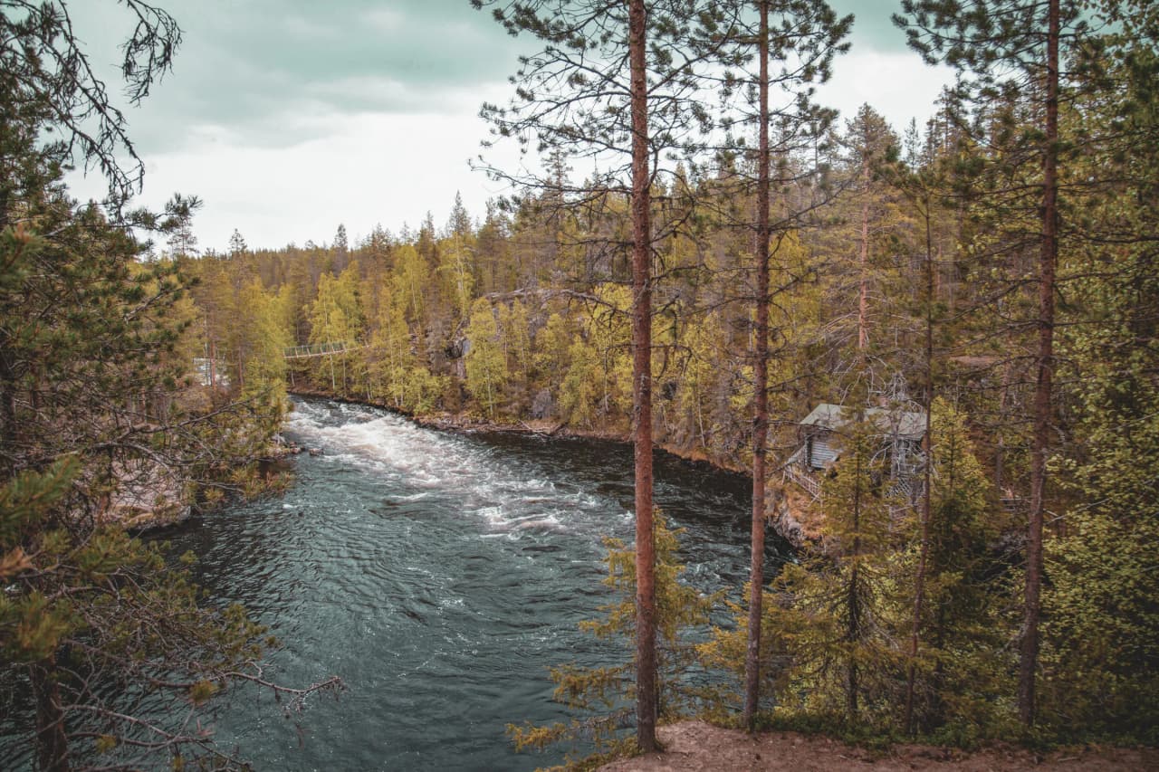 The wild river of Oulanka, surrounded by green forests and a gentle Lappish landscape.
