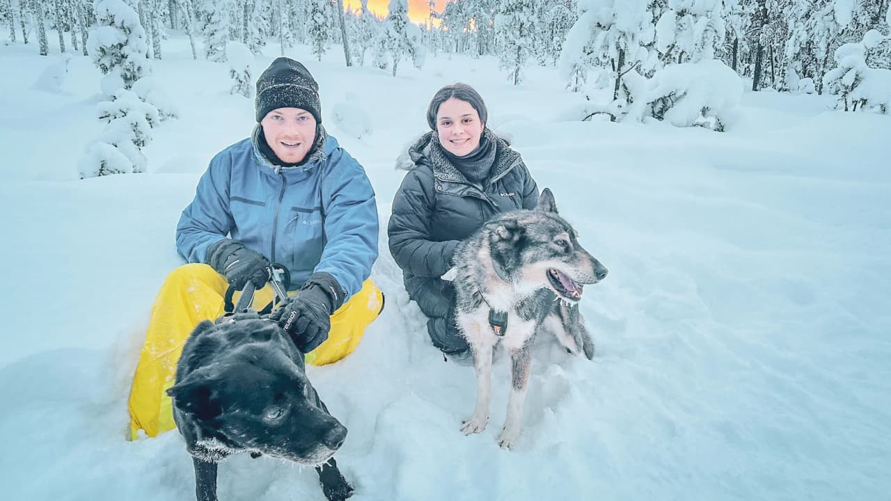 Two people sitting in the snow in Lapland, surrounded by sled dogs, with a magical landscape.