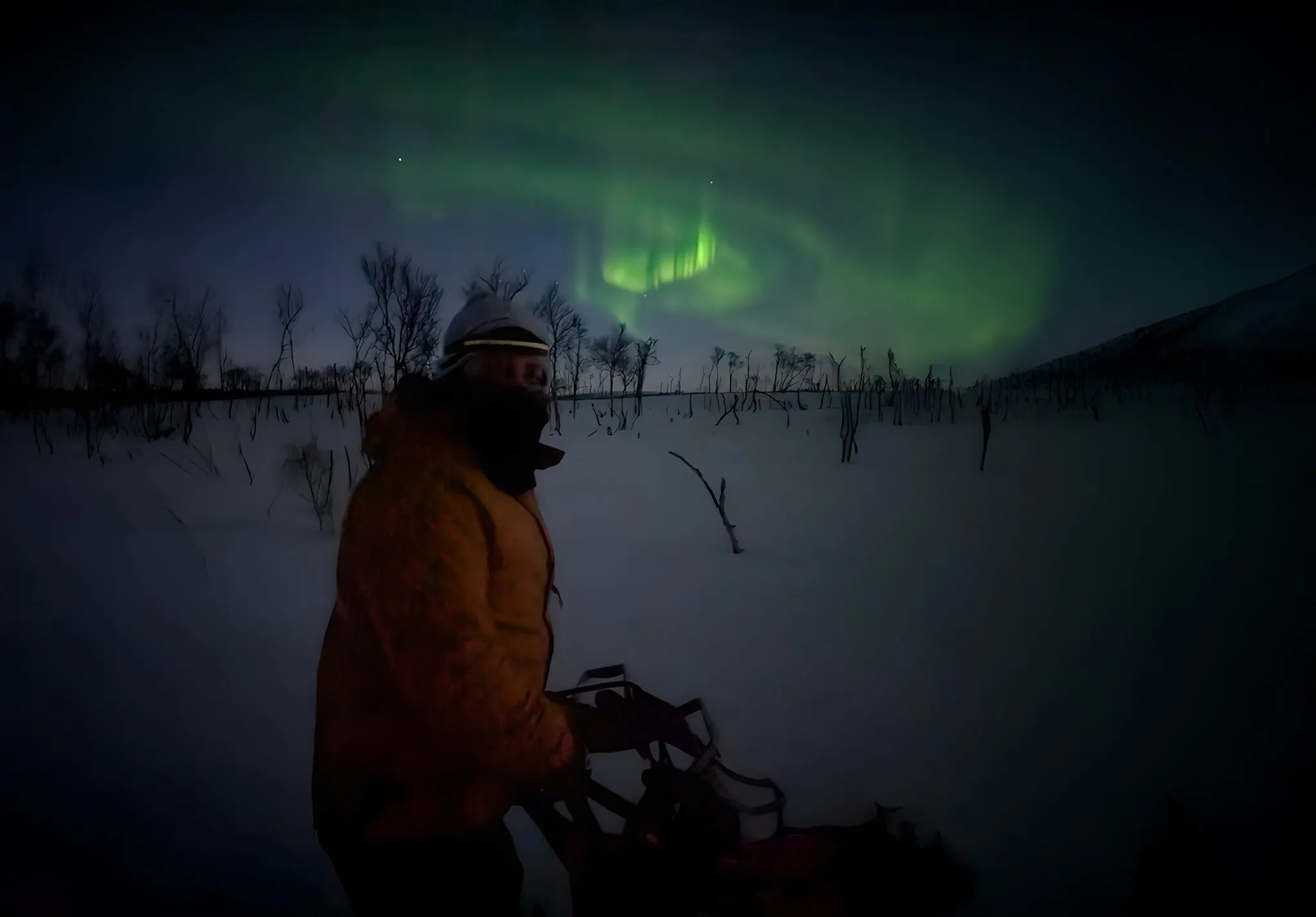 A musher on a sleigh under the northern lights, surrounded by snow and magical landscapes.