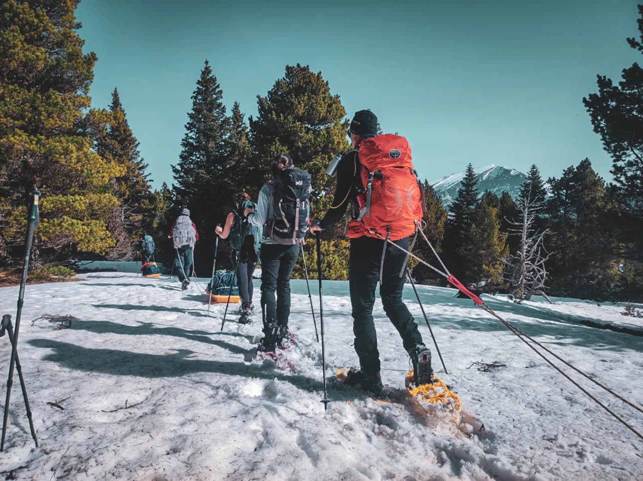 Group of hikers on snowshoes, with a mountainous landscape in the background.
