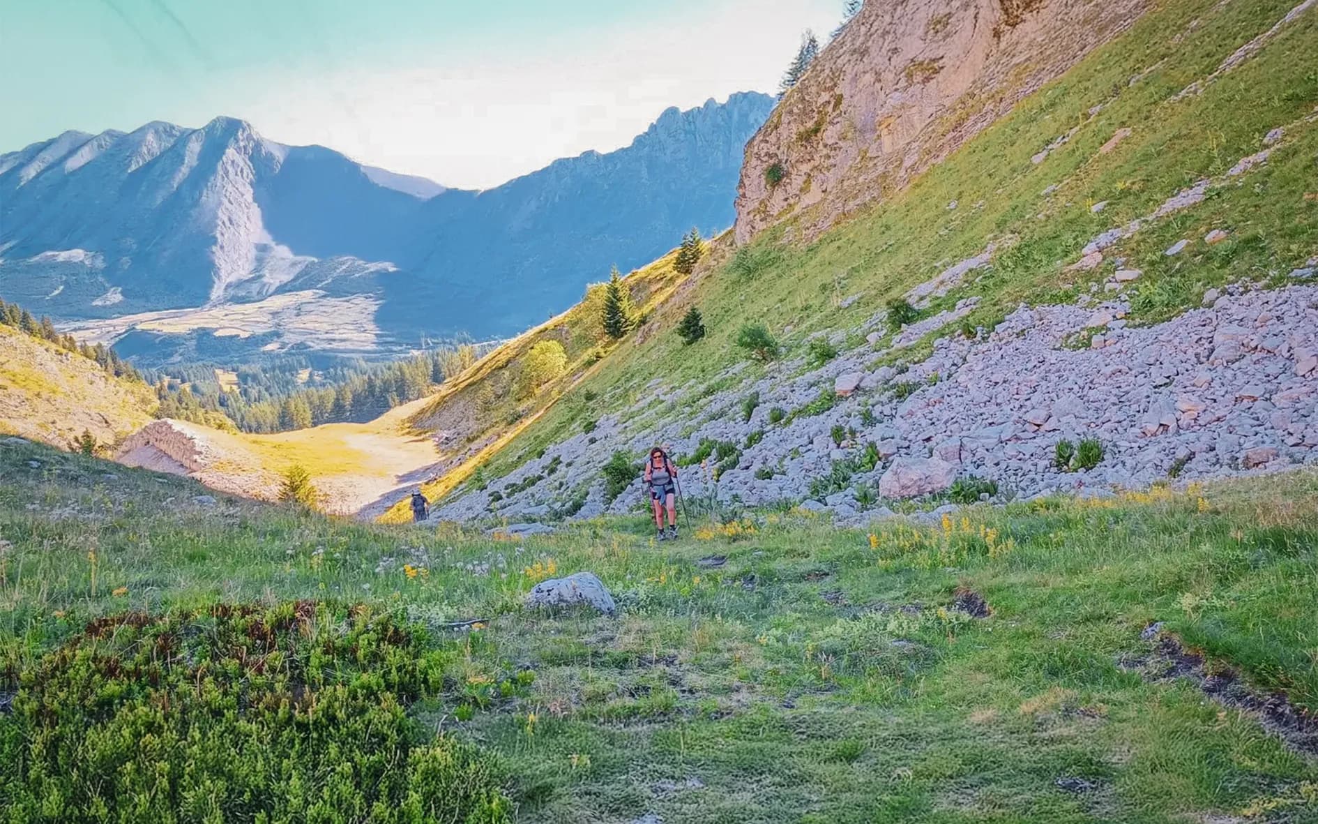 A mountain landscape with a green valley dotted with wild flowers. Steep slopes frame the scene, dominated by majestic peaks under a clear, sunny sky. In the foreground