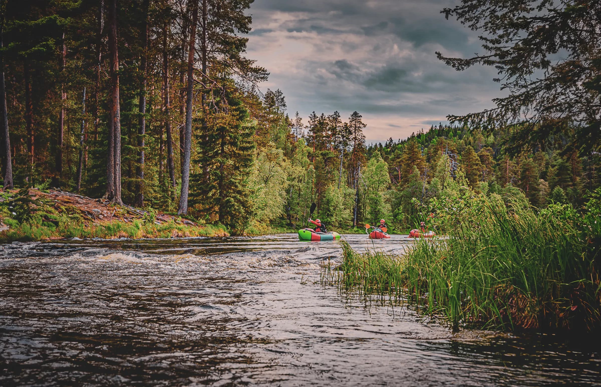 A natural landscape with a calm river surrounded by dense forest. Colourful red and green kayaks are navigated by people, while lush vegetation lines the banks. Majestic trees make up the