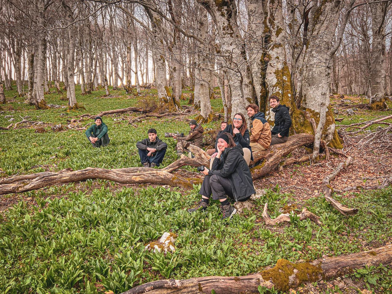 Een groep wandelaars rust uit in een groen bos in de Vercors, omringd door majestueuze bomen.