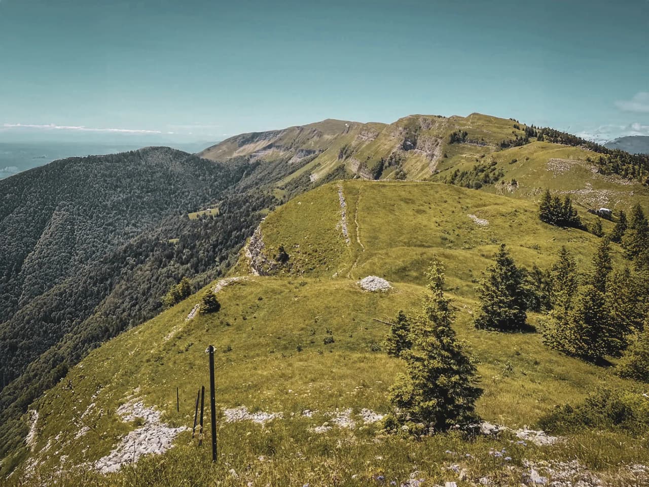 A panoramic view of a green Jura massif, ideal for an immersive nature walk.