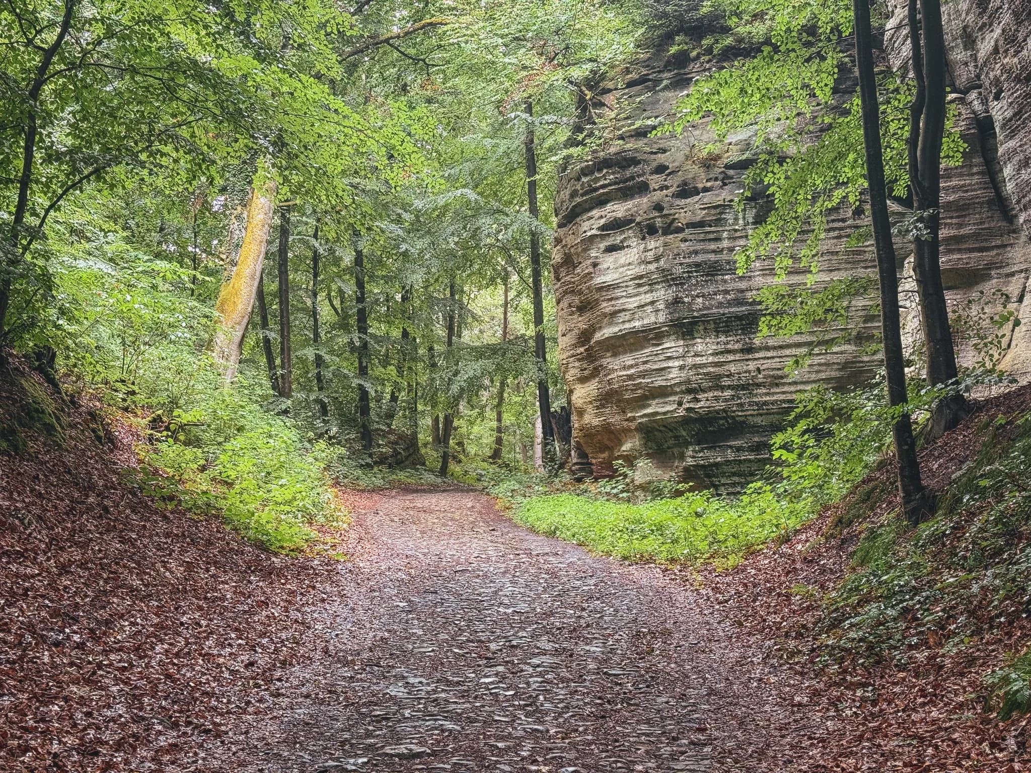 A forest path lined with green trees and rocks. Three hikers cross a small stream on a wooden bridge. The sunlight filters through the foliage, creating