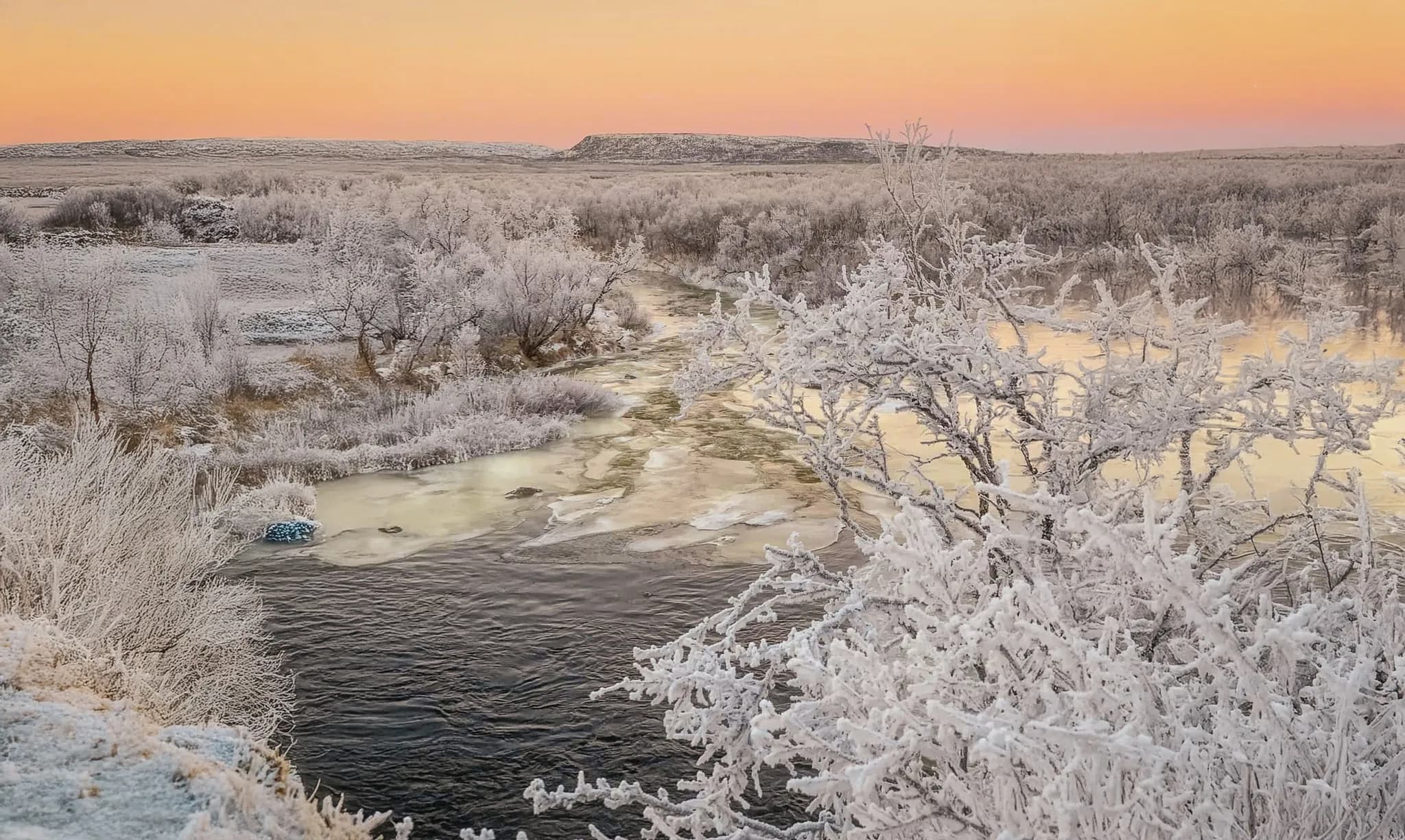 A peaceful winter landscape with frost-covered trees and a gently flowing river. The scene is bathed in pastel shades of pink and orange at dusk, creating a serene atmosphere.