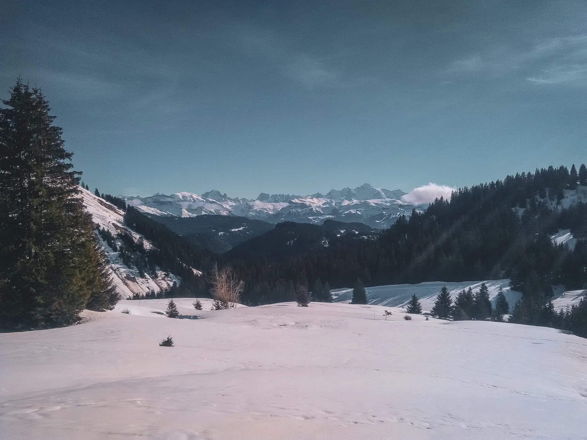 Een besneeuwd winterlandschap in het Juragebergte, met weelderige groene bossen op de achtergrond.