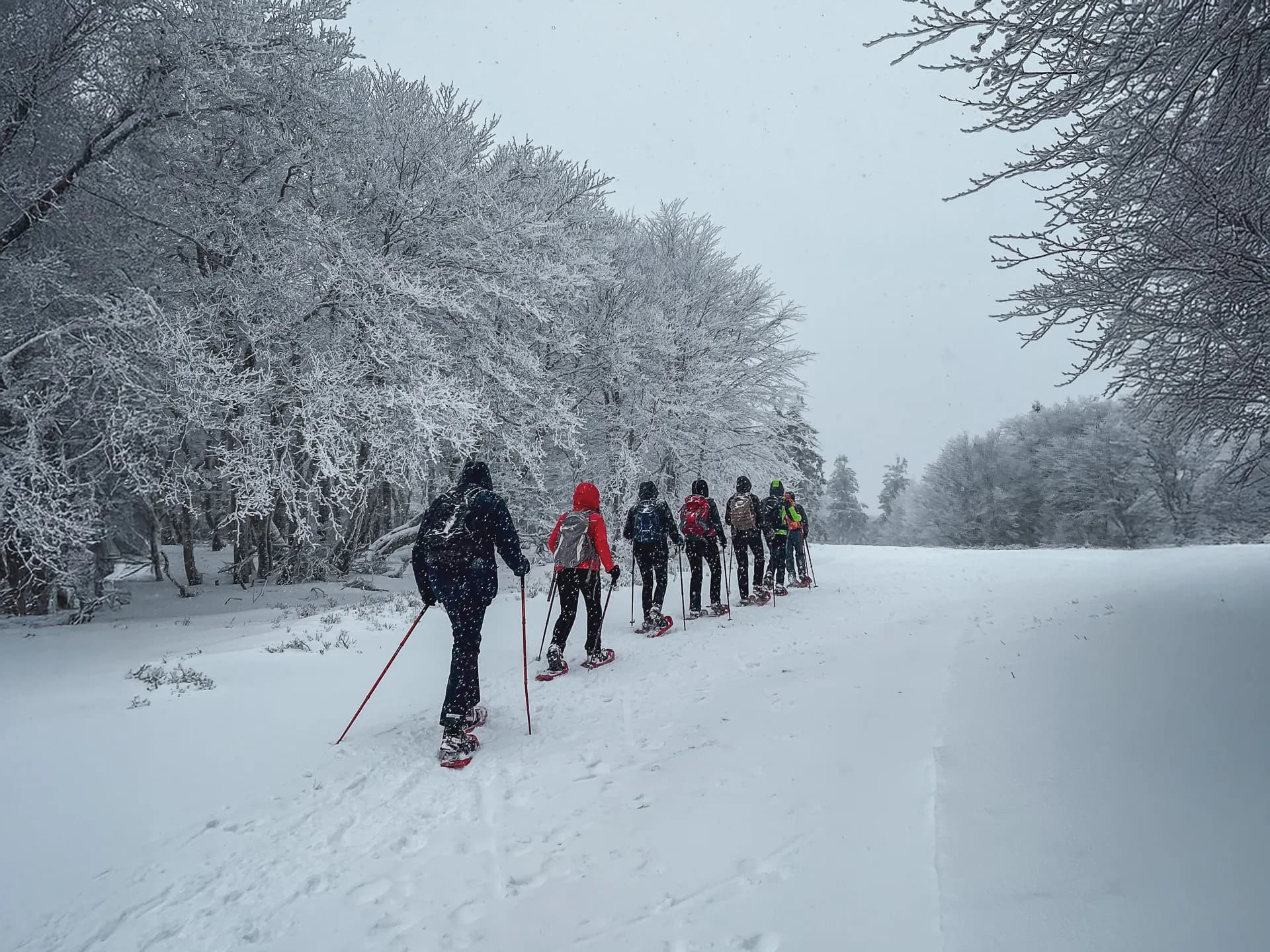 Een besneeuwd houten Berghut met panoramisch uitzicht op de Vogezen, een uitnodiging om er even helemaal uit te zijn.