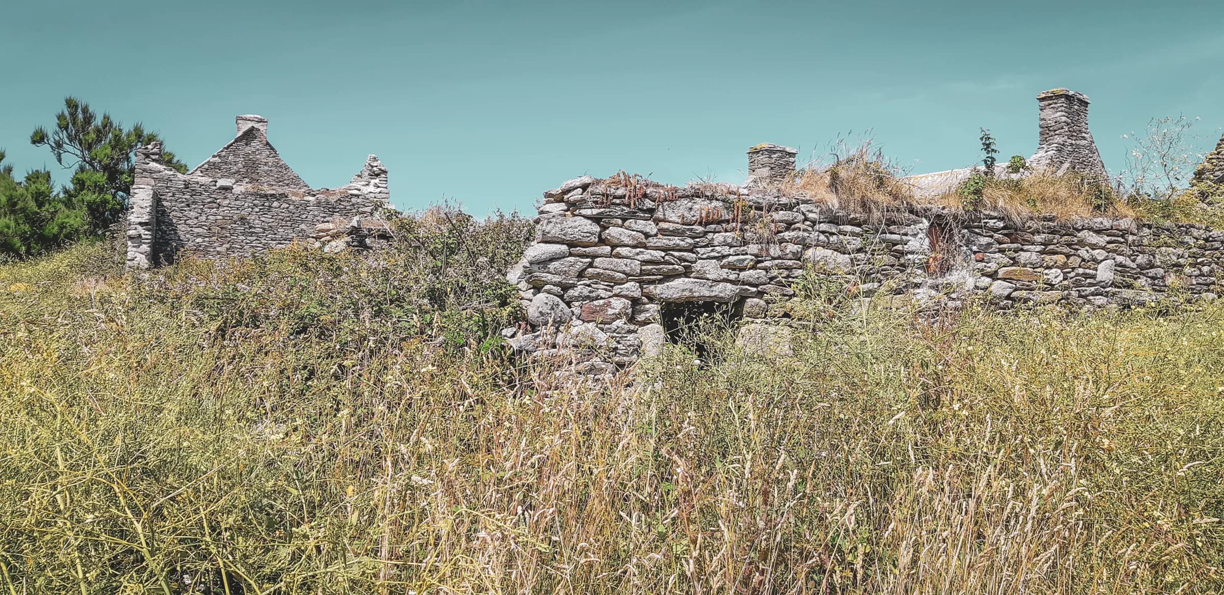 Picturesque ruins overgrown with vegetation, steeped in history in an enchanting setting.