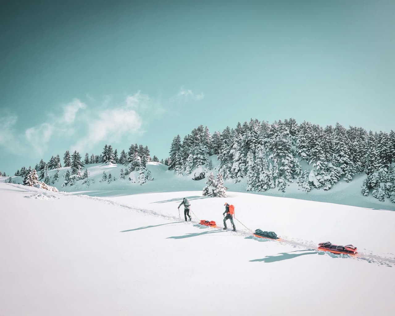 Deux randonneurs traversent un paysage enneigé, tirant des pulkas sous un ciel azur.