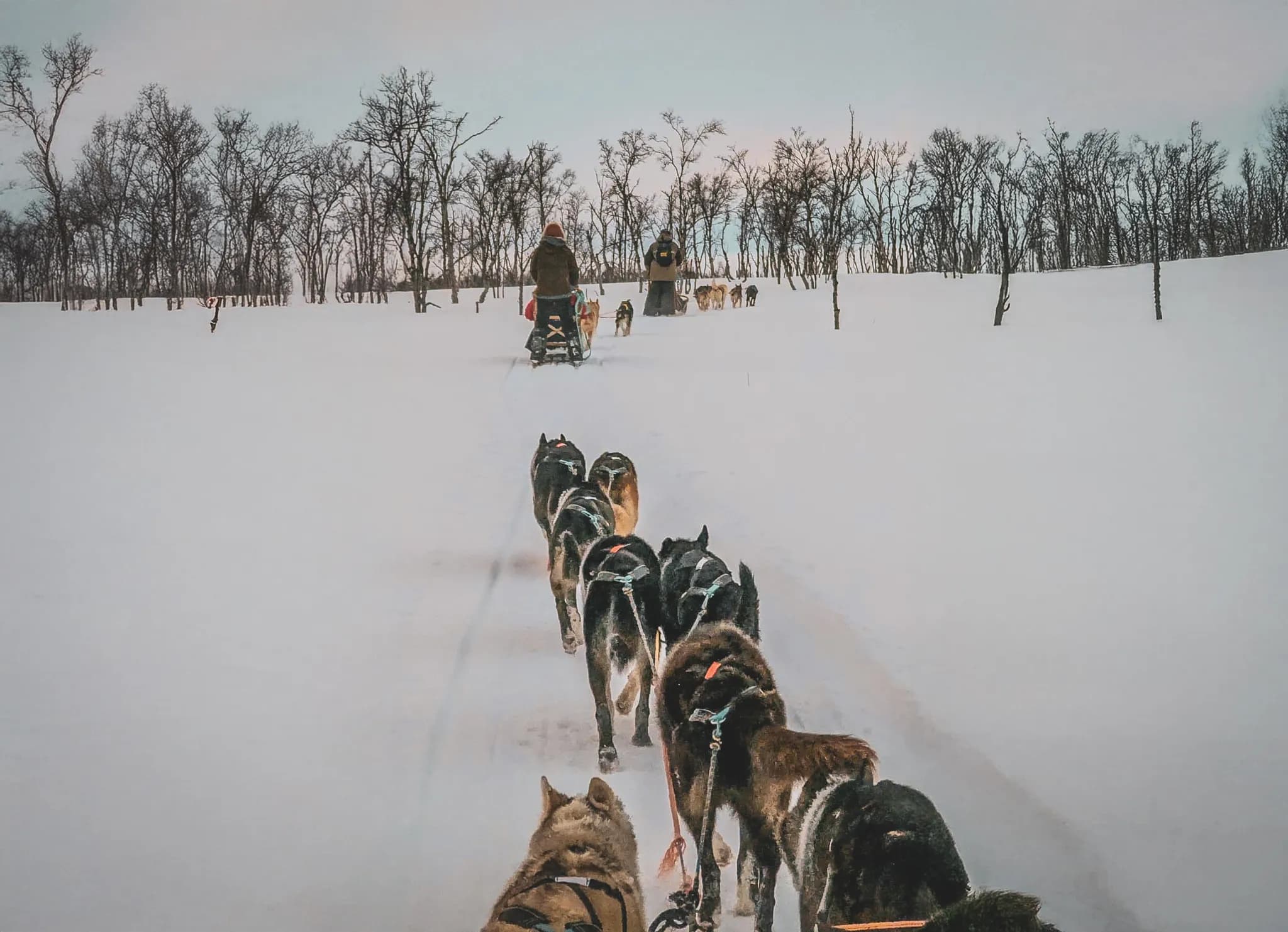 A dogsled moves through a snowy landscape, pulled by several dogs lined up in a row. At the back, a musher guides the sled, while another musher follows behind. In the background