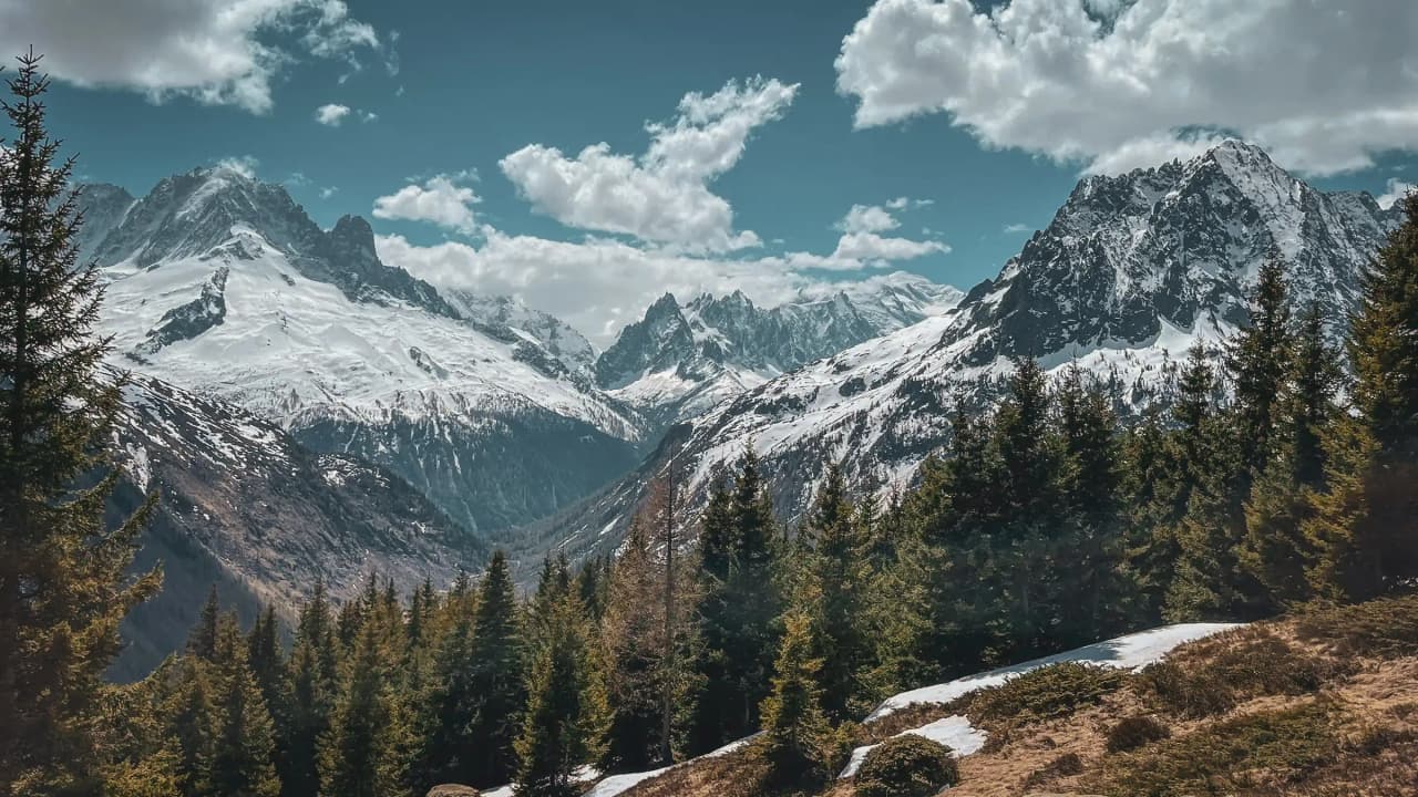 Spectaculair Alpenlandschap met besneeuwde bergtoppen, weelderige groene bossen en levendige blauwe luchten.