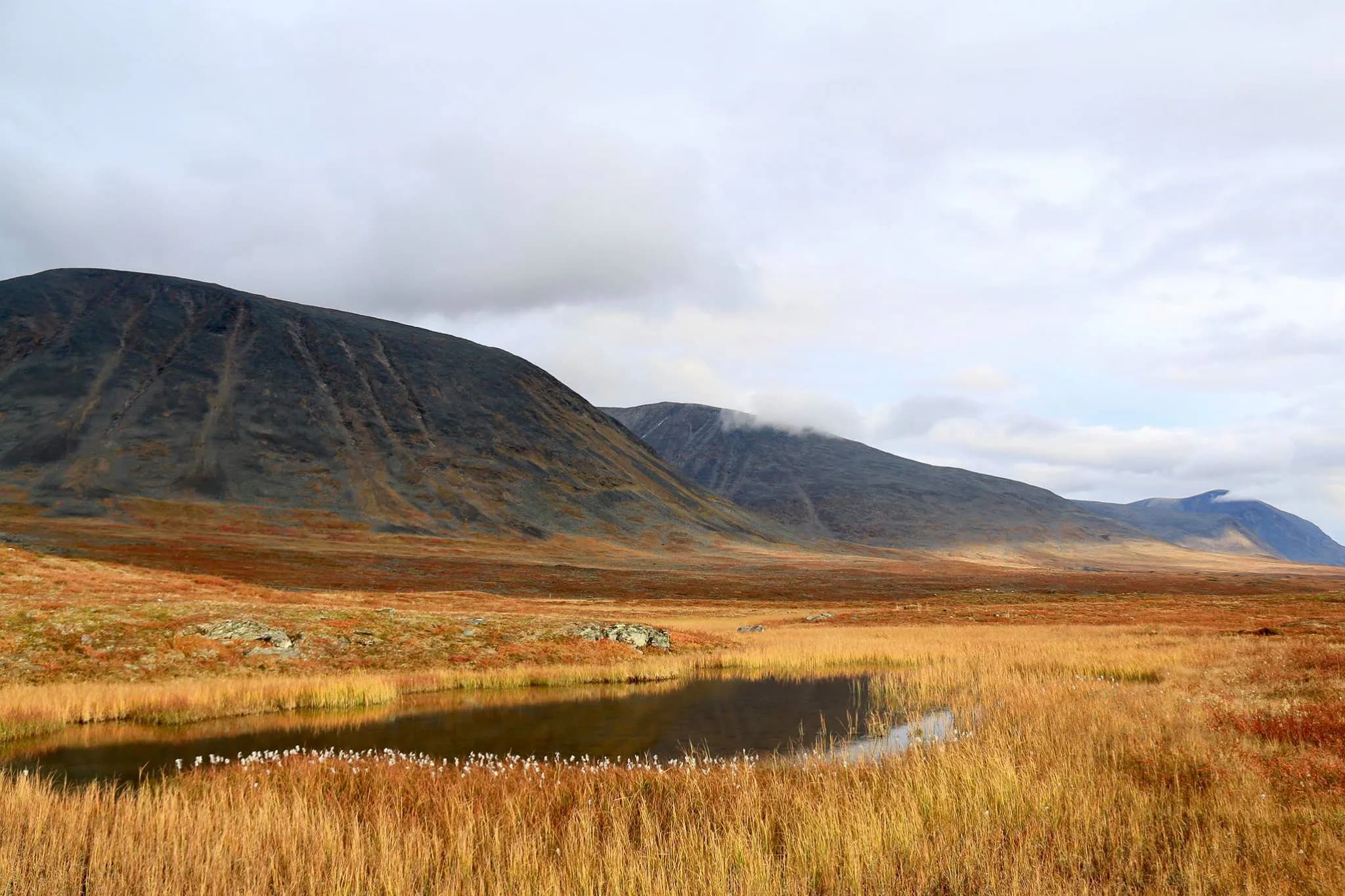 A vast landscape with cloud-covered mountains in the background. In the foreground, a tranquil pond reflects the sky, surrounded by golden vegetation and clumps of white flowers.