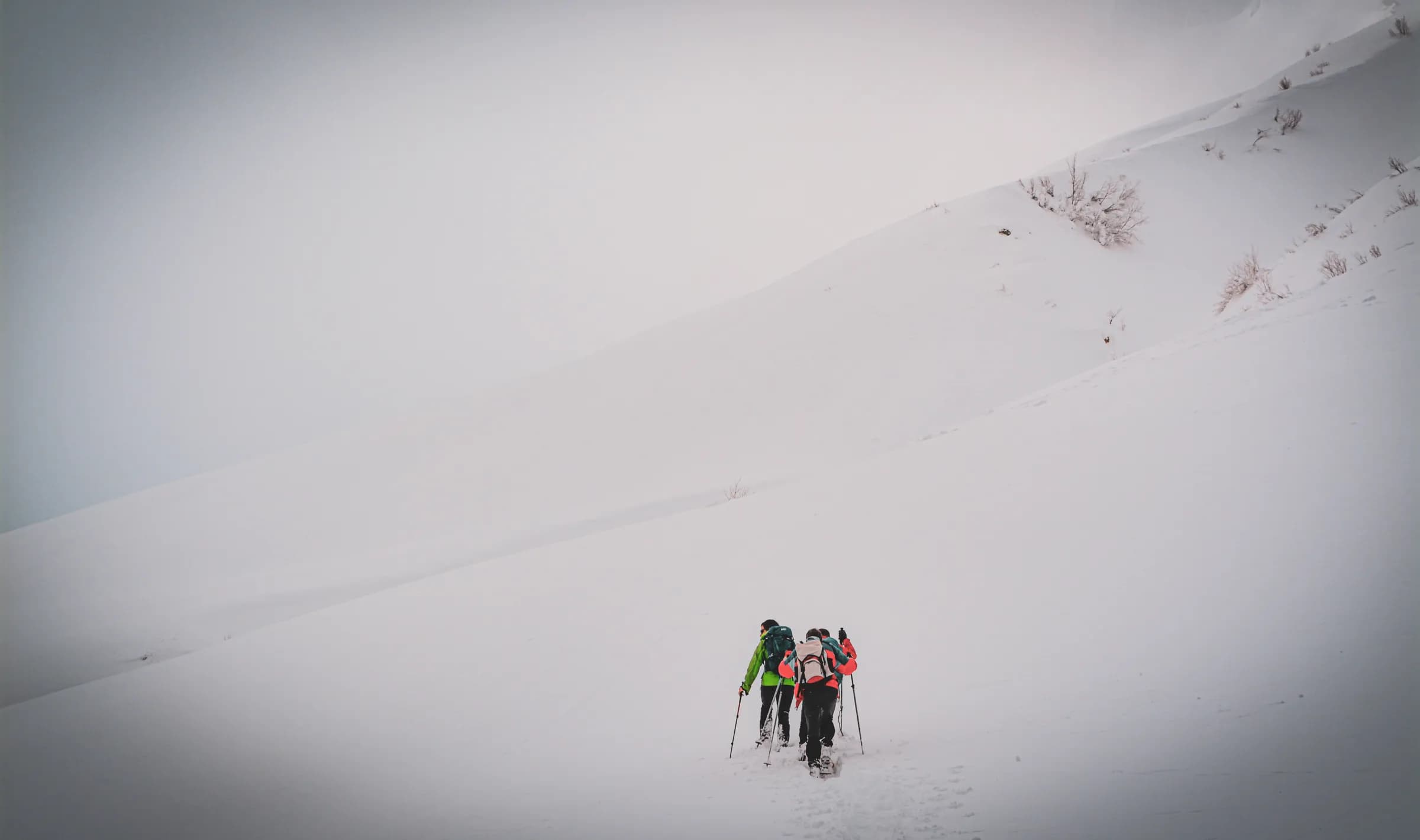 A group of people are walking through a snow-covered landscape, using hiking poles. They are walking on a gentle slope covered in snow, while a bare hill rises in the background. The weather seems bare