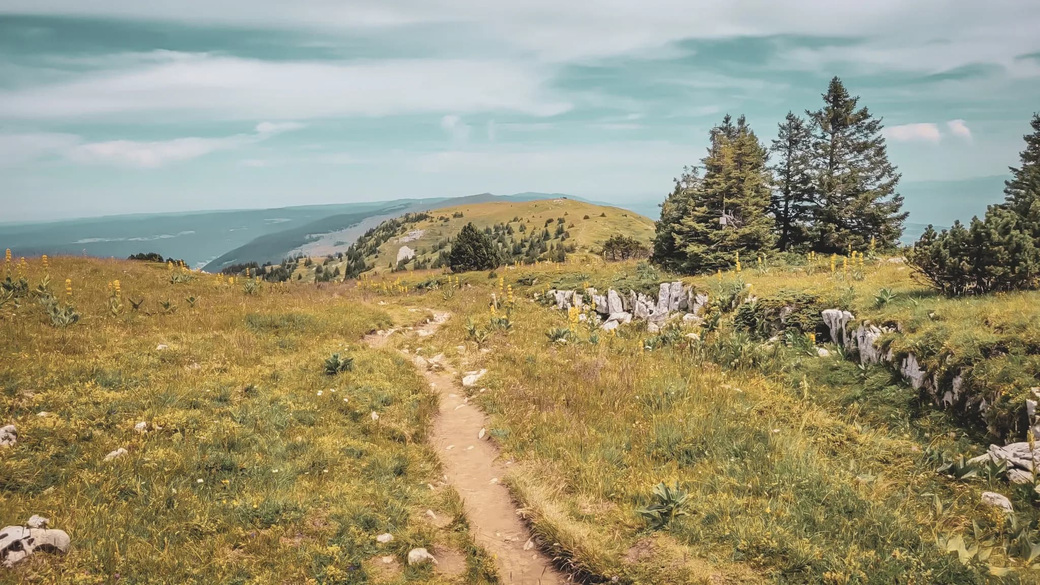 Sentier sinueux à travers des prairies verdoyantes et collines du Haut-Jura, paysage enchanteur.