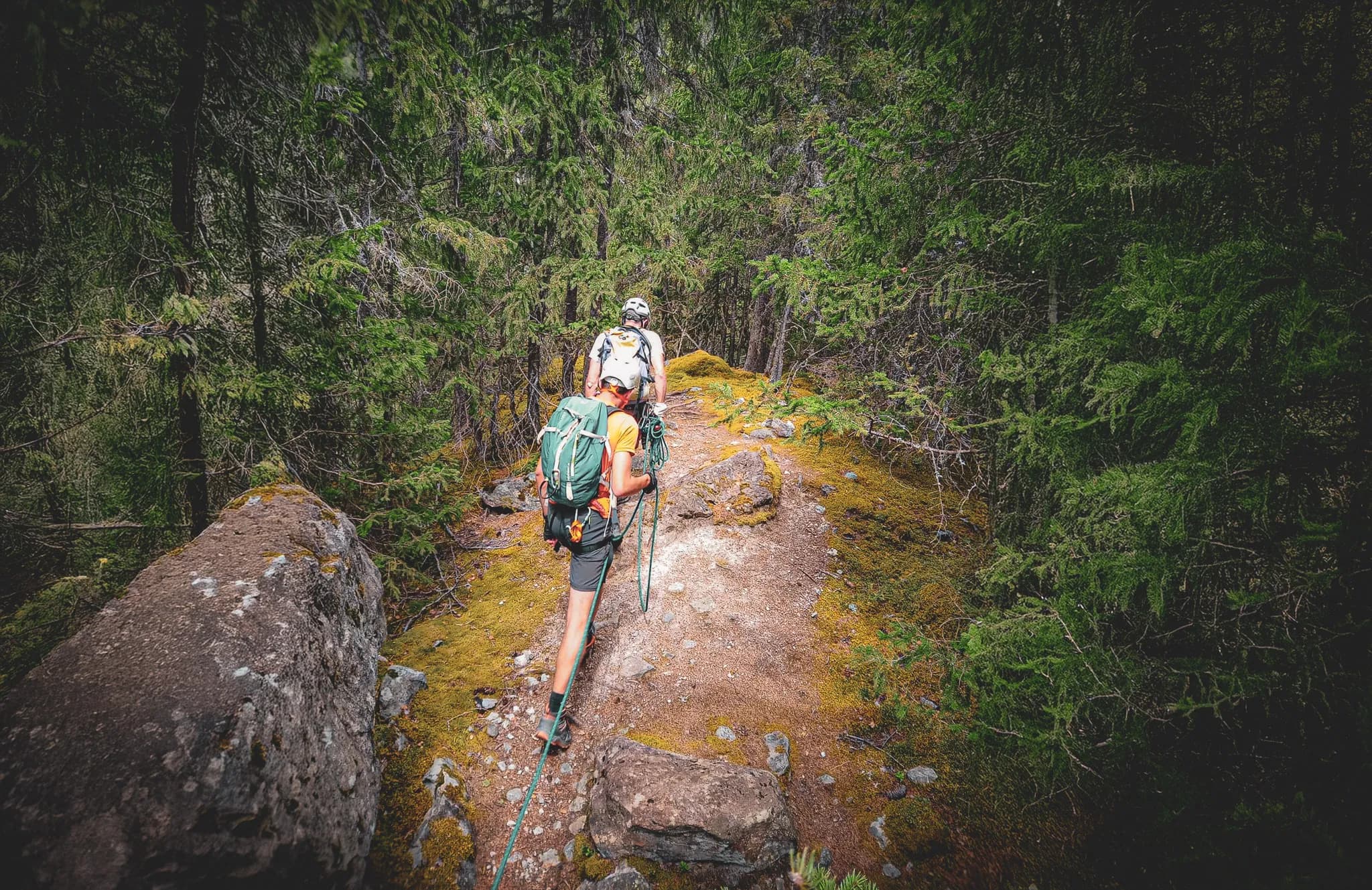 Deux alpinistes cheminent à travers une forêt verdoyante, prêts pour l'aventure à Chamonix.