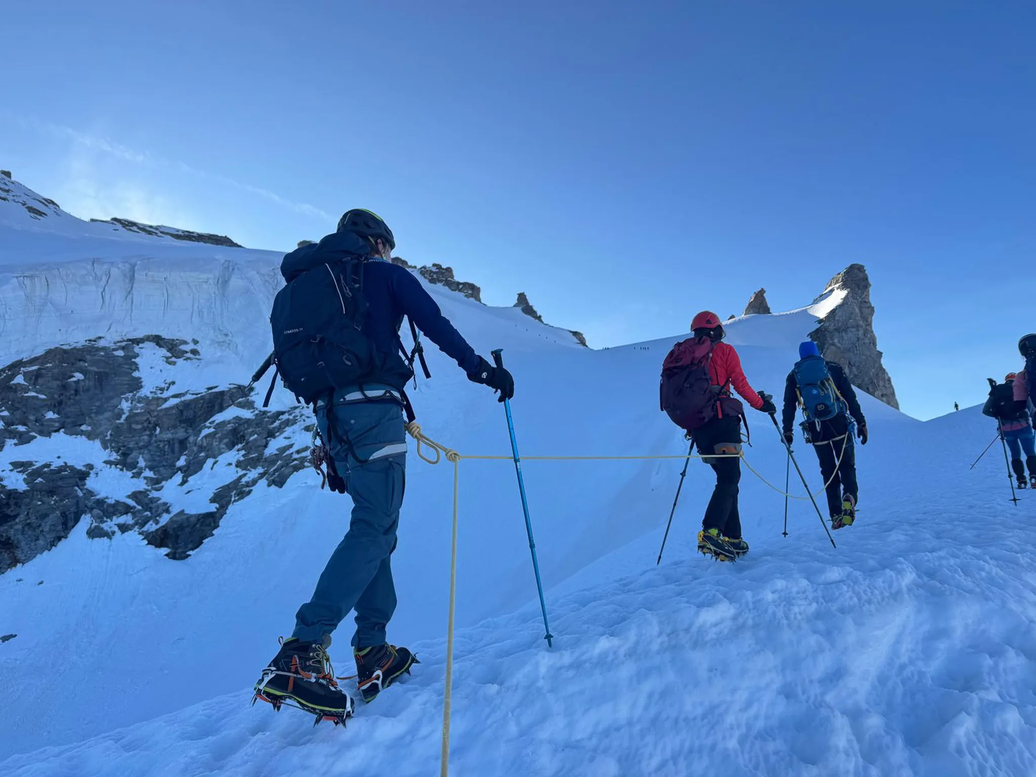 Een groep in touw tijdens een beklimming van de Gran Paradiso, begeleid door een Wildhartt-gids.