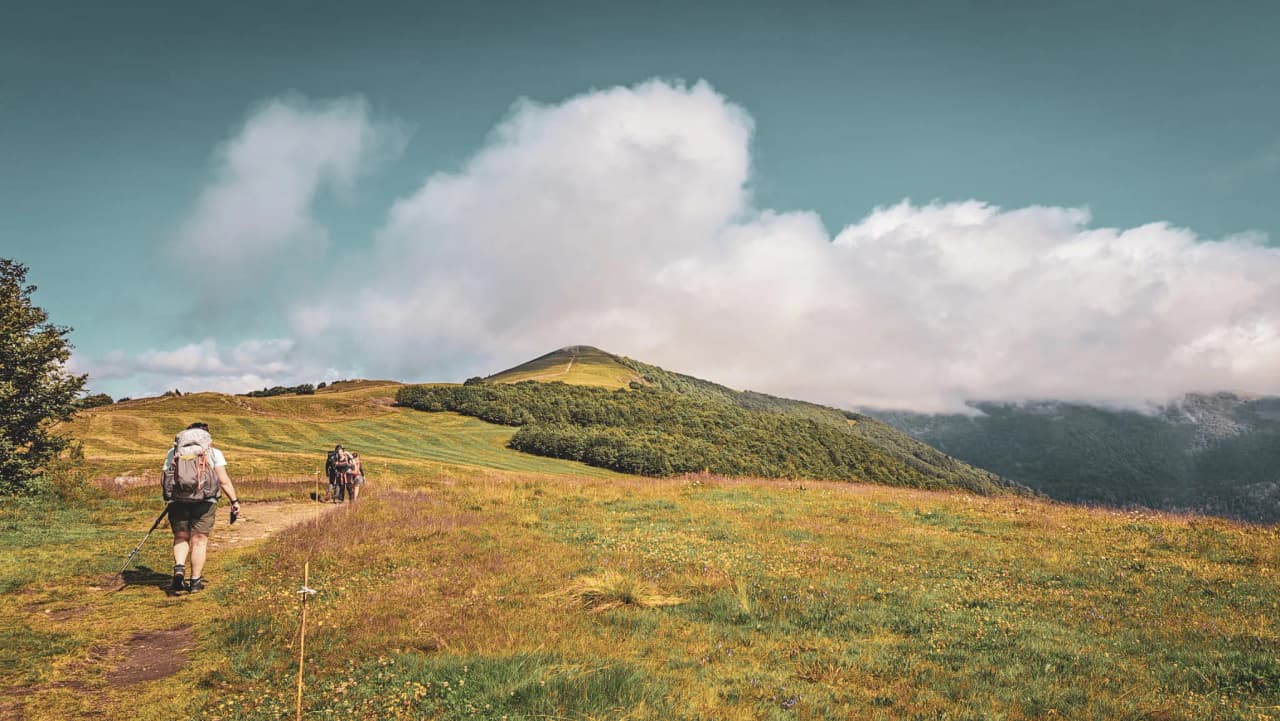 Randonneurs sur un sentier verdoyant des Vosges, avec des sommets embrumés à l'horizon.